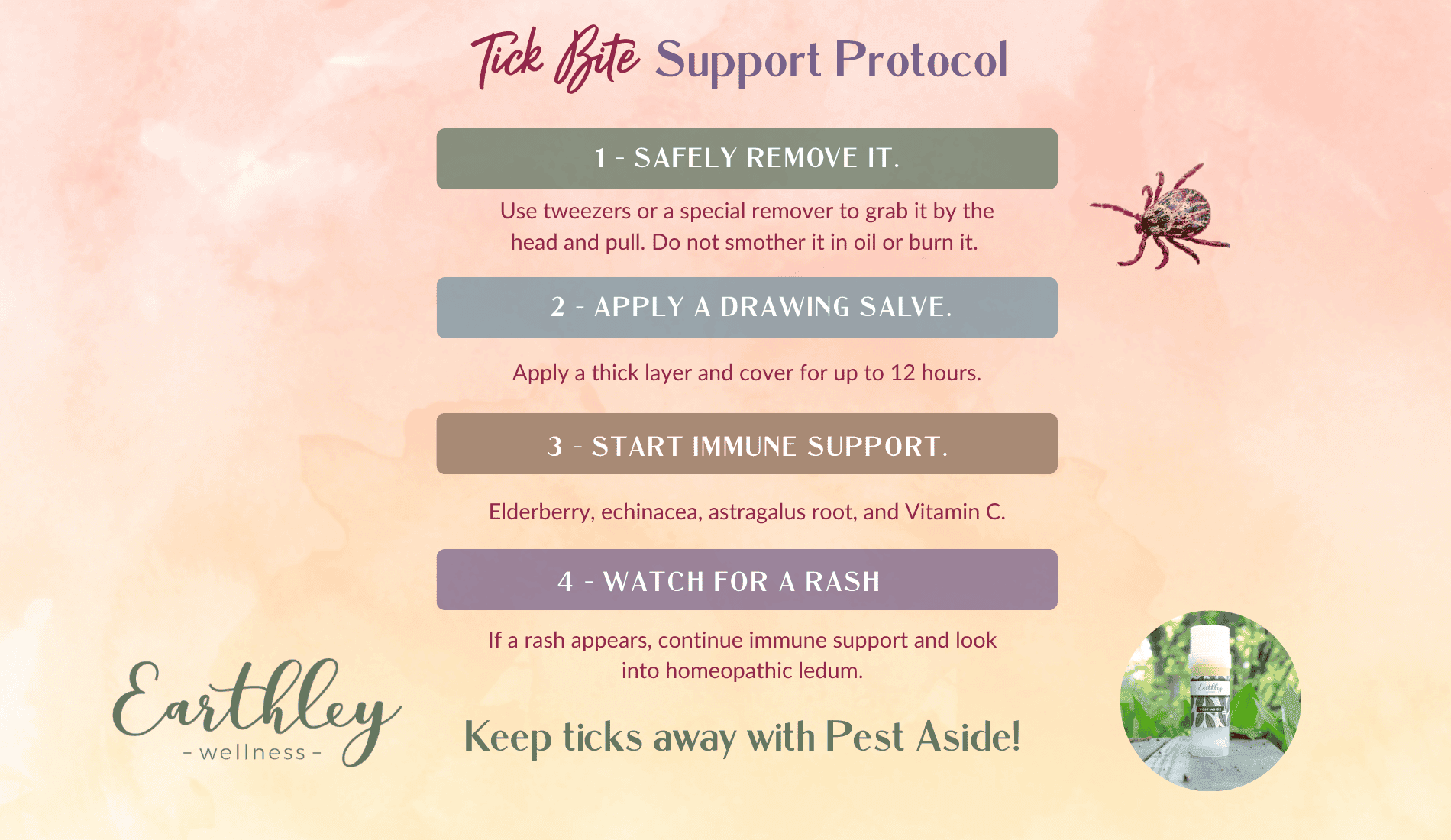 Tick Bite Treatment blog header showing brown tick insect close-up on green leaf background