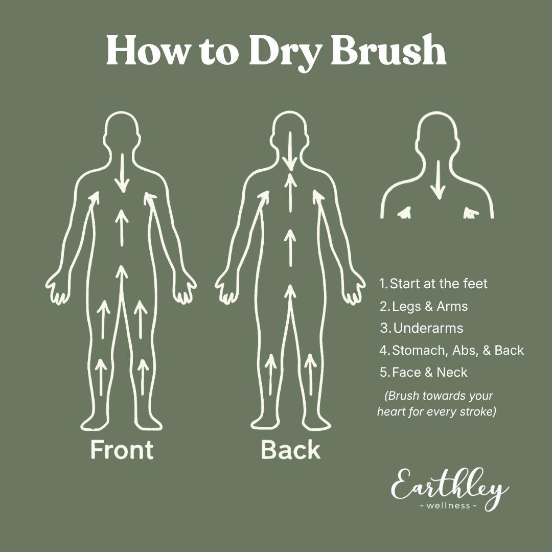 Dry brushing technique diagram showing front and back body views with directional arrows and 5-step instructions toward the heart