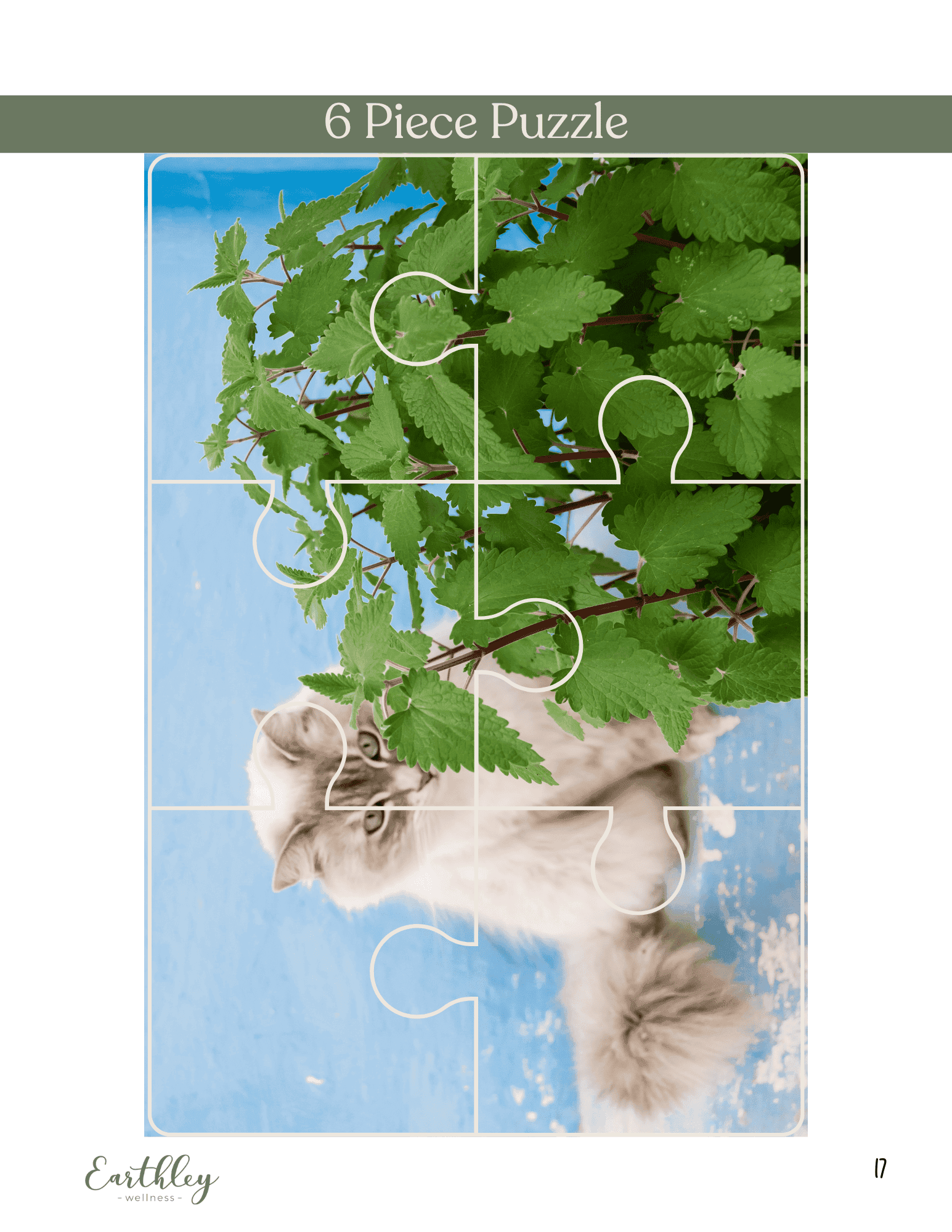 Six piece jigsaw puzzle activity page showing gray kitten playing with catnip plant with blue sky background from Earthley Kids educational content