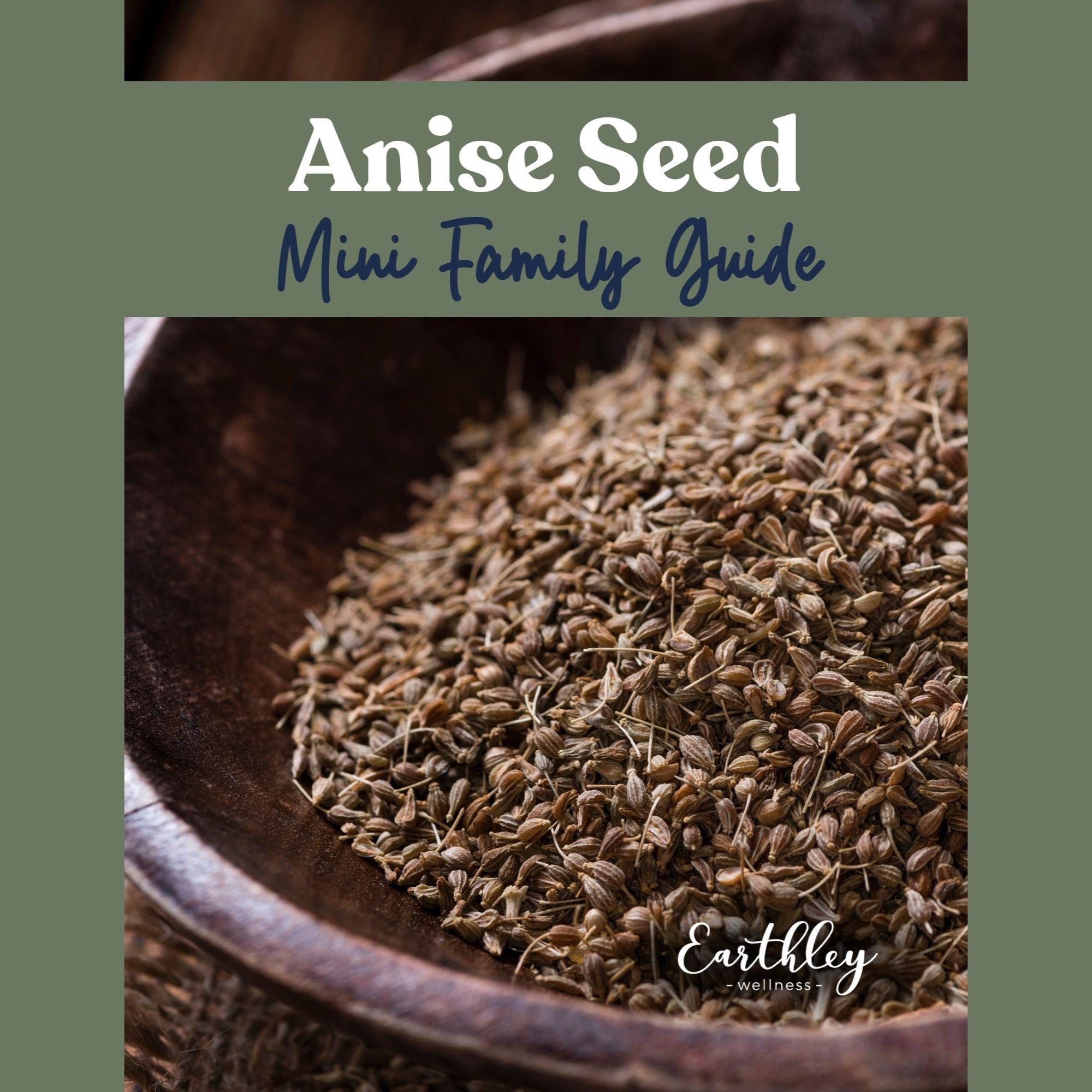 Earthley Anise Seed Mini Family Guide cover with brown anise seeds filling dark wooden bowl on rustic brown background with sage green border and blue script text