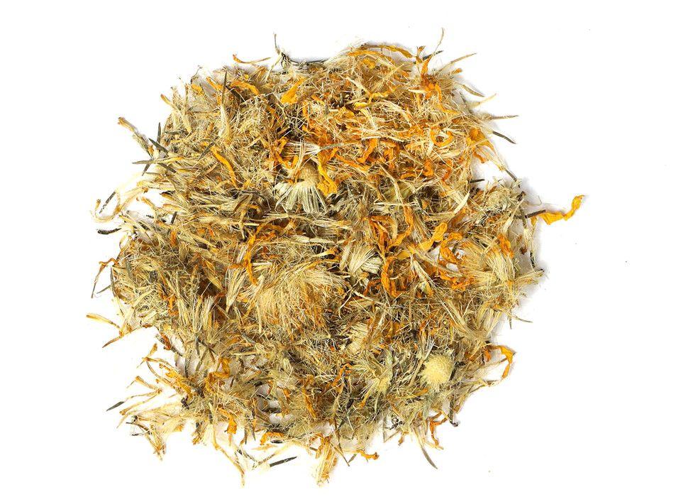 Arnica flowers botanical photo showing bright yellow mountain daisy flowers used for bruise and pain relief