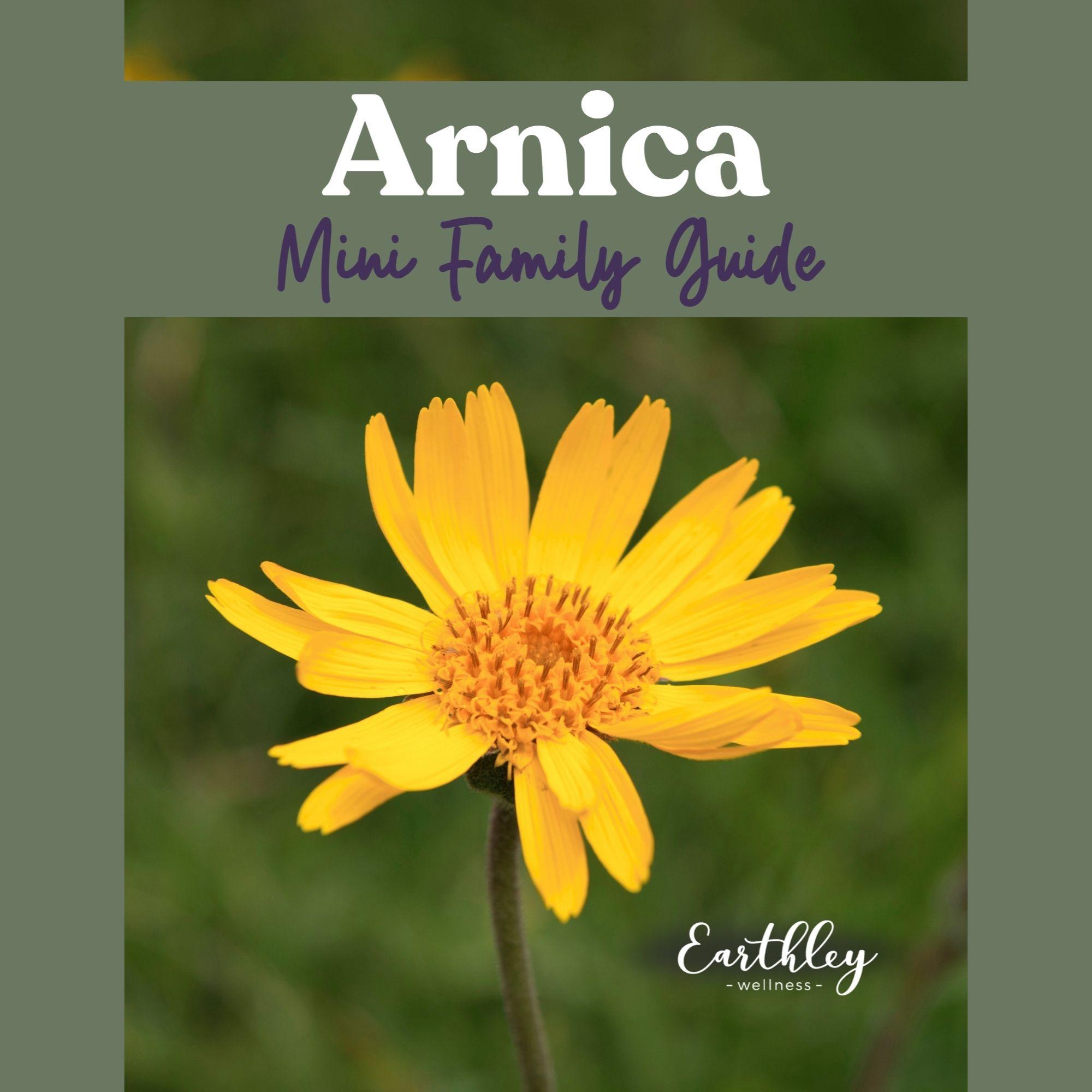Earthley Arnica Mini Family Guide cover with bright yellow arnica daisy flower on green blurred garden background with sage green border and purple text
