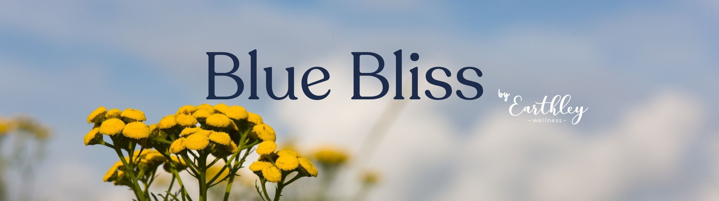 Blue Bliss by Earthley Wellness banner with yellow tansy flowers against blue sky