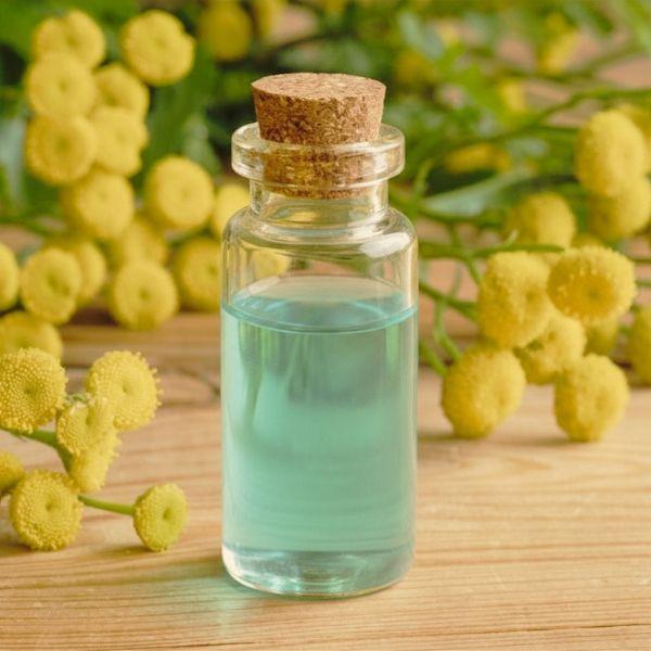 Cork-stoppered glass bottle with blue herbal tincture surrounded by yellow tansy flowers