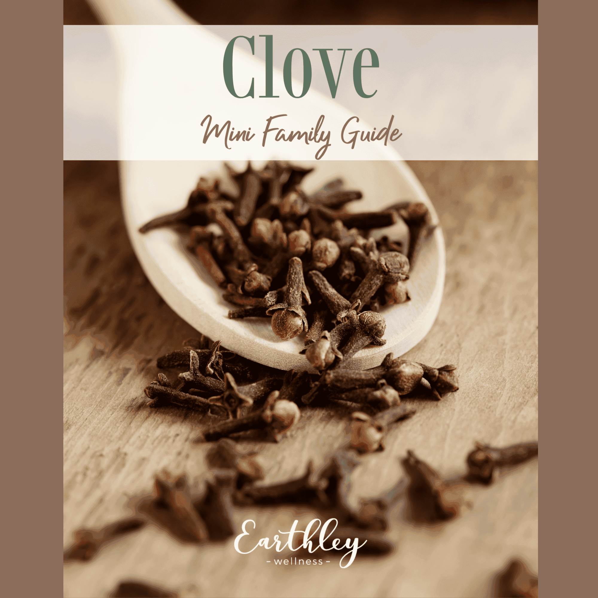 Clove Mini Family Guide cover showing white ceramic spoon filled with dark brown dried whole cloves on rustic wooden surface with scattered cloves and Earthley Wellness logo