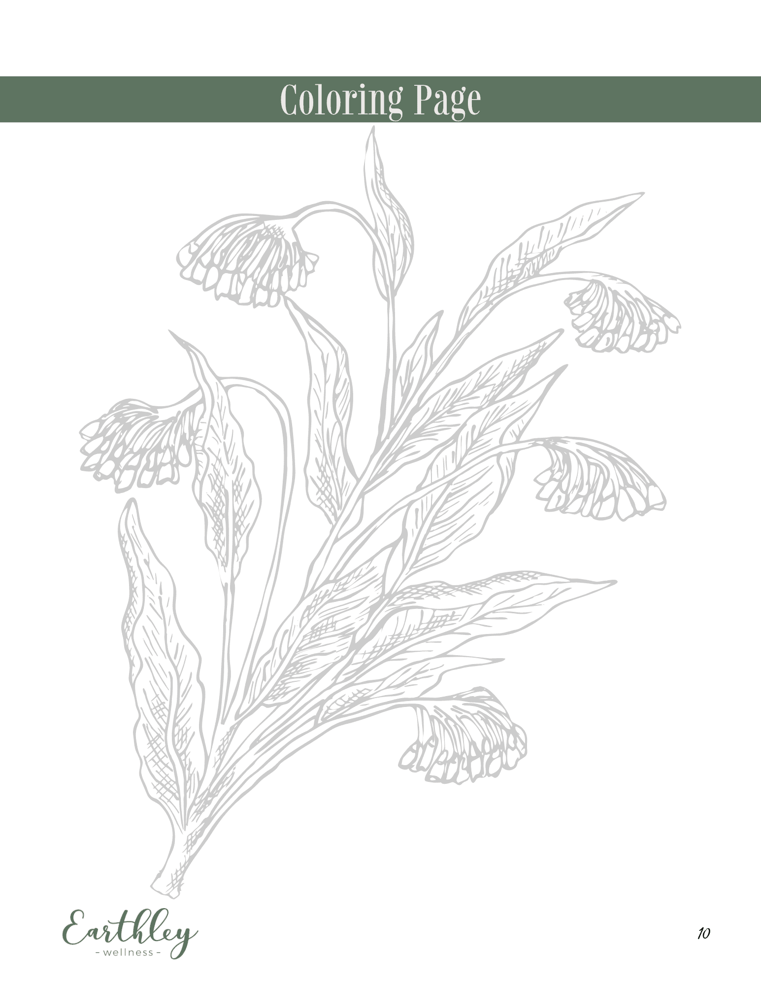 Comfrey Mini Family Guide coloring page with sage green header and gray line drawing of comfrey plant showing bell-shaped flowers and pointed leaves on white background