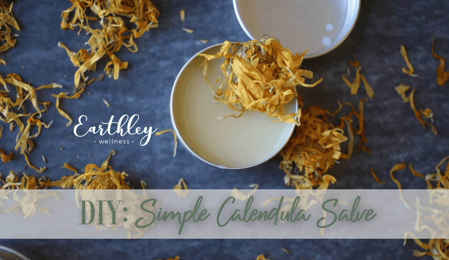 DIY Simple Calendula Salve recipe graphic showing homemade herbal salve ingredients and preparation instructions from Earthley Wellness