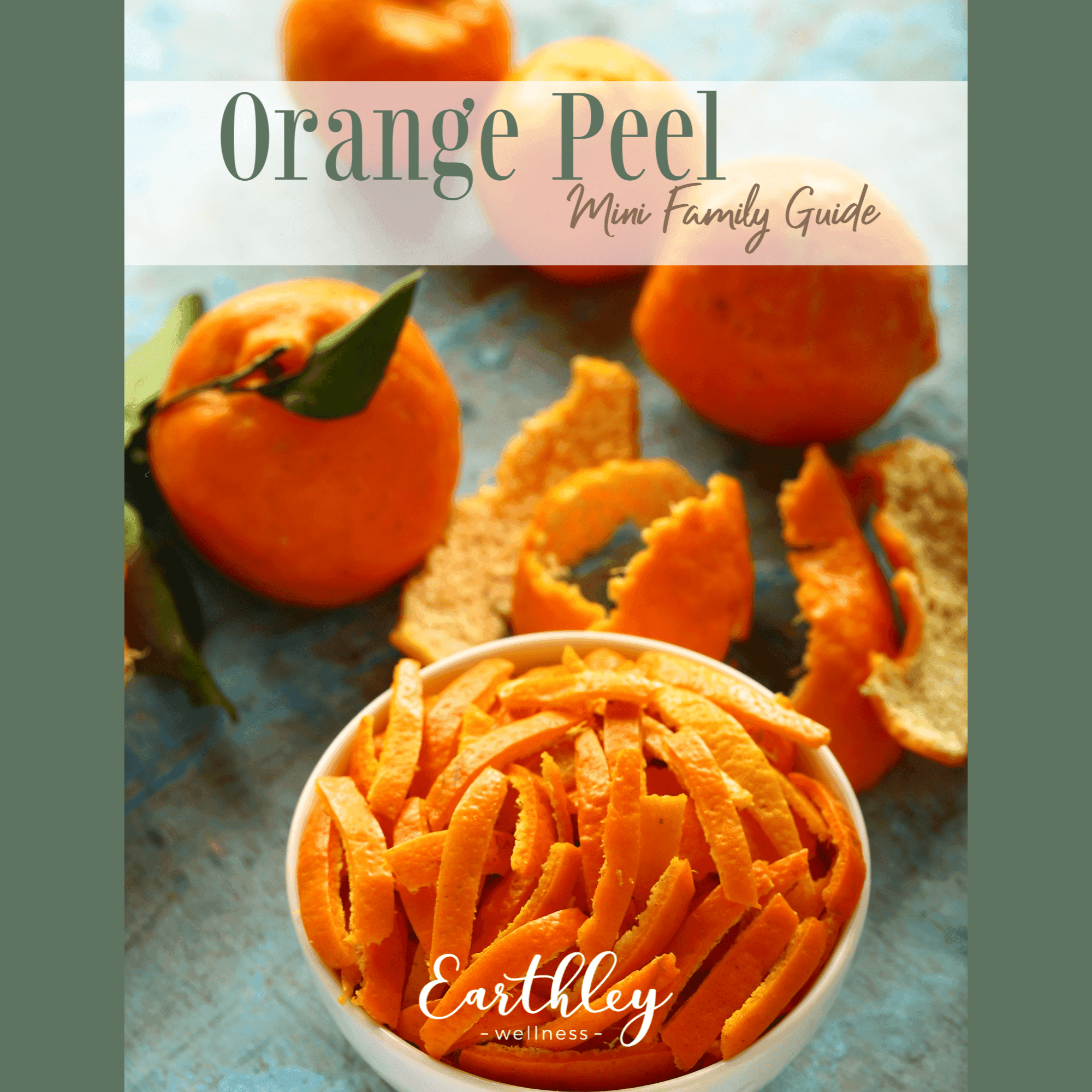 Formatted Guide Cover Orange Peel educational guide