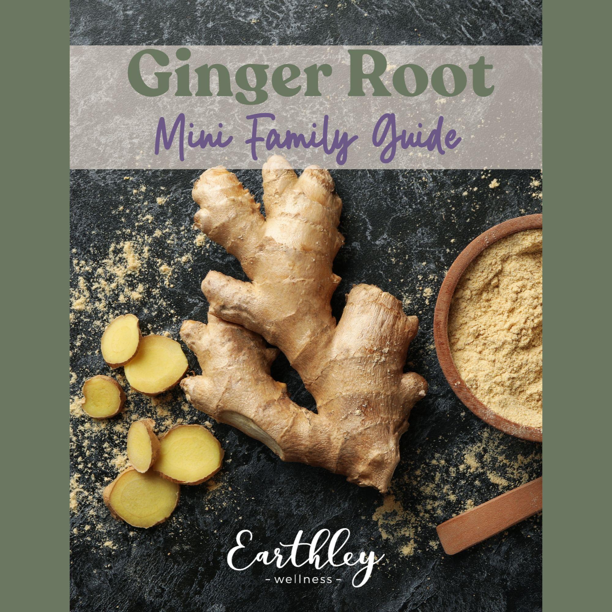 Earthley Ginger Root Mini Family Guide cover with tan ginger root and yellow powder in wooden bowl on dark slate background with purple and gray text