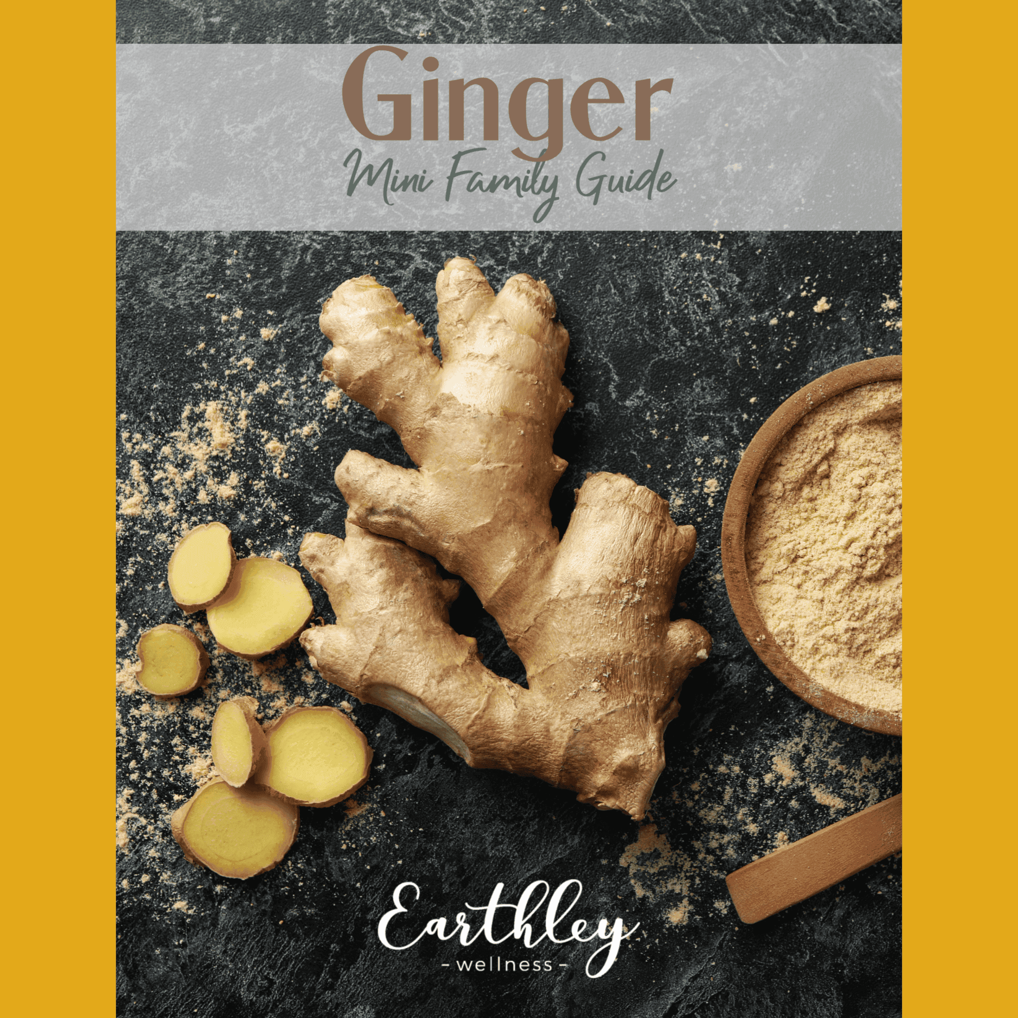 Ginger Mini Family Guide cover with dark slate background showing fresh tan ginger root pieces wooden bowl of ginger powder and scattered spice on rustic surface