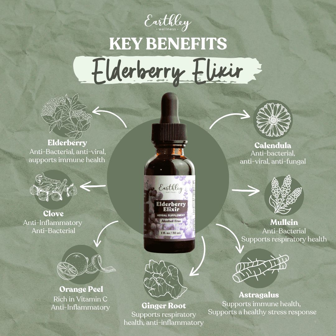 Earthley Elderberry Elixir key benefits infographic: elderberry, calendula, mullein, astragalus, ginger, clove, orange peel