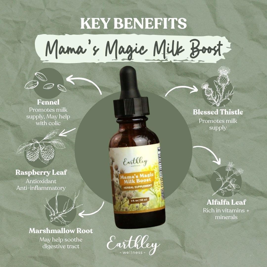 Mama's Magic Milk Boost tincture bottle surrounded by key herbal ingredients: fennel, blessed thistle, raspberry leaf, marshmallow root, and alfalf...
