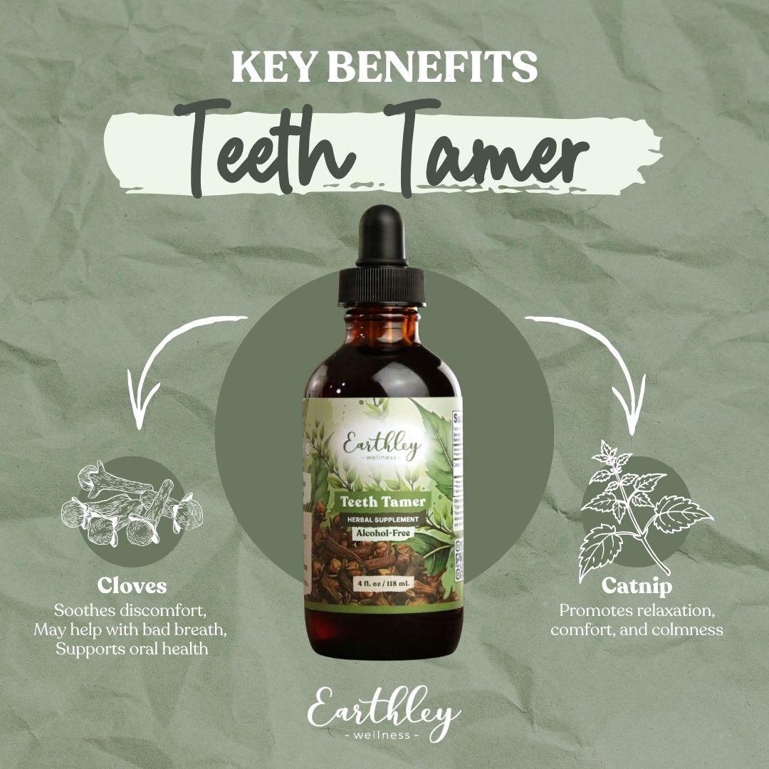 Earthley Teeth Tamer herbal tincture bottle with key benefits: cloves for oral health, catnip for relaxation