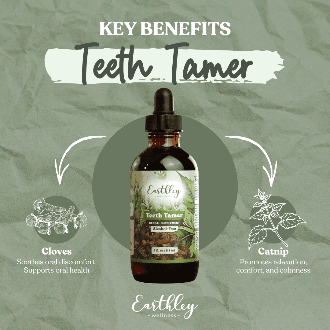 Earthley Teeth Tamer herbal tincture with cloves and catnip key benefits graphic