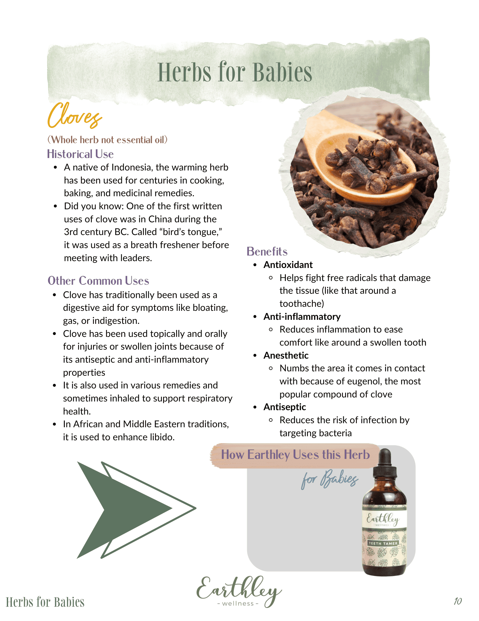 Earthley Herbs For Babies guide page 12 showing herbal remedy information with sage green and cream design