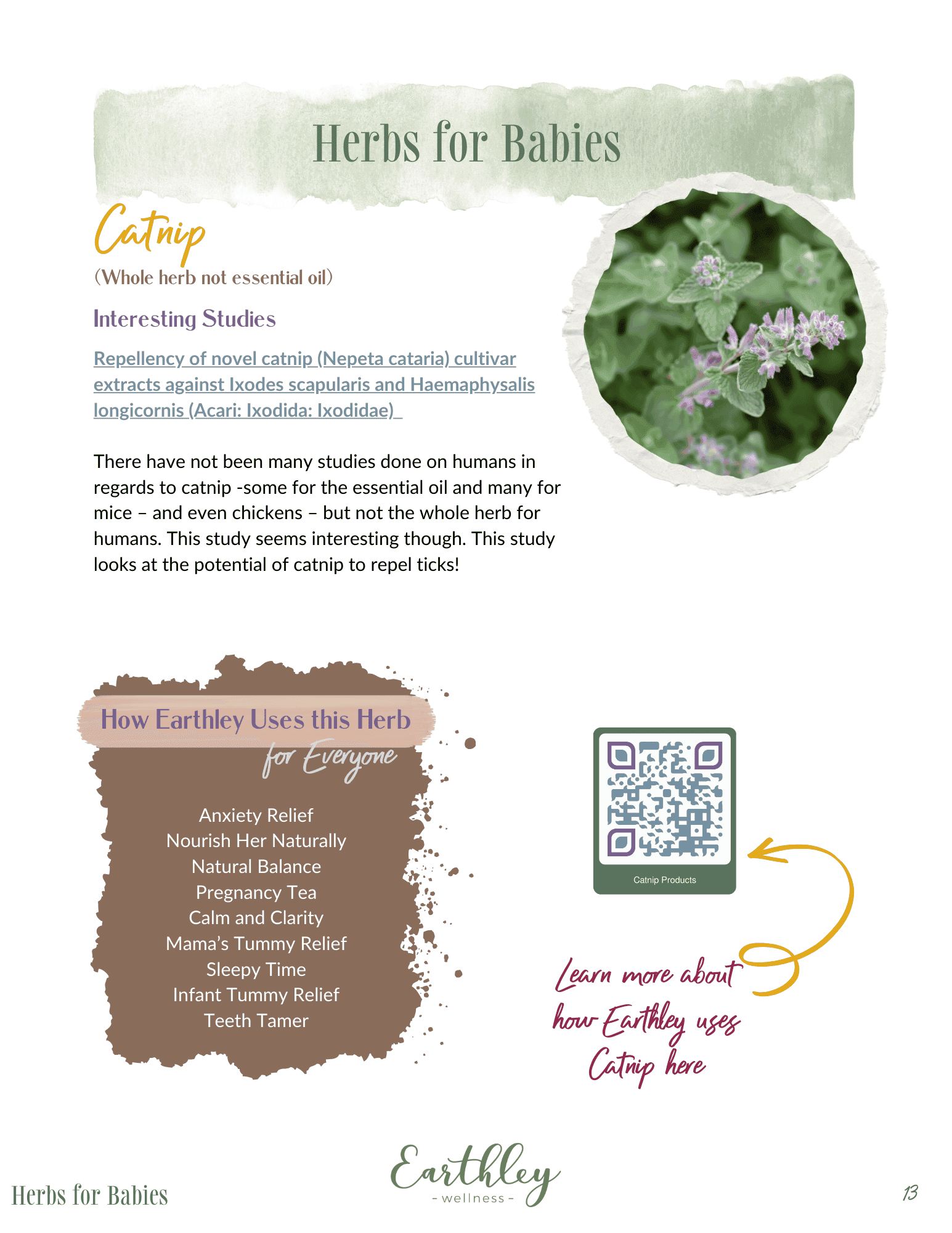 Earthley Herbs For Babies guide page 15 showing herbal remedy information with sage green and cream design