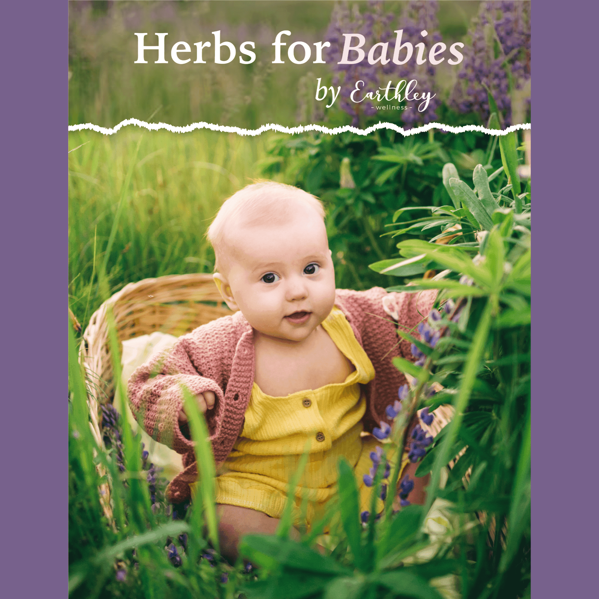 Cover of Herbs for Babies guide by Earthley featuring baby in pink sweater sitting in wicker basket among green plants with purple border