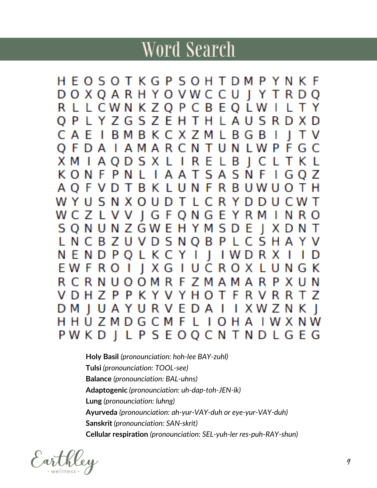 Holy Basil Word Search activity page with sage green border showing letter grid puzzle on cream background with Earthley Wellness logo and pronunciation guide for Tulsi and adaptogen terms