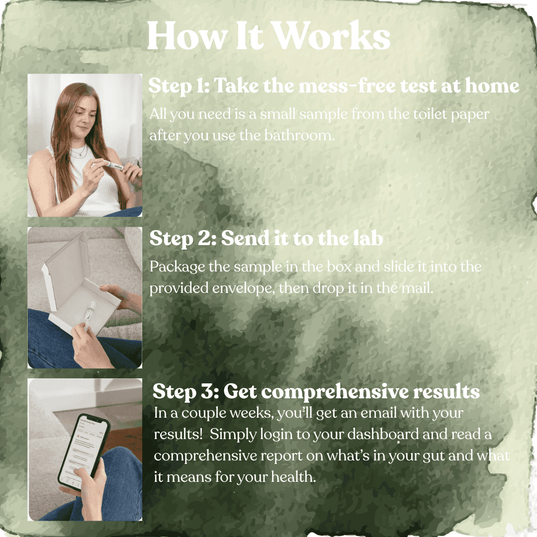 3-step gut health test process: collect sample, mail to lab, receive results via app