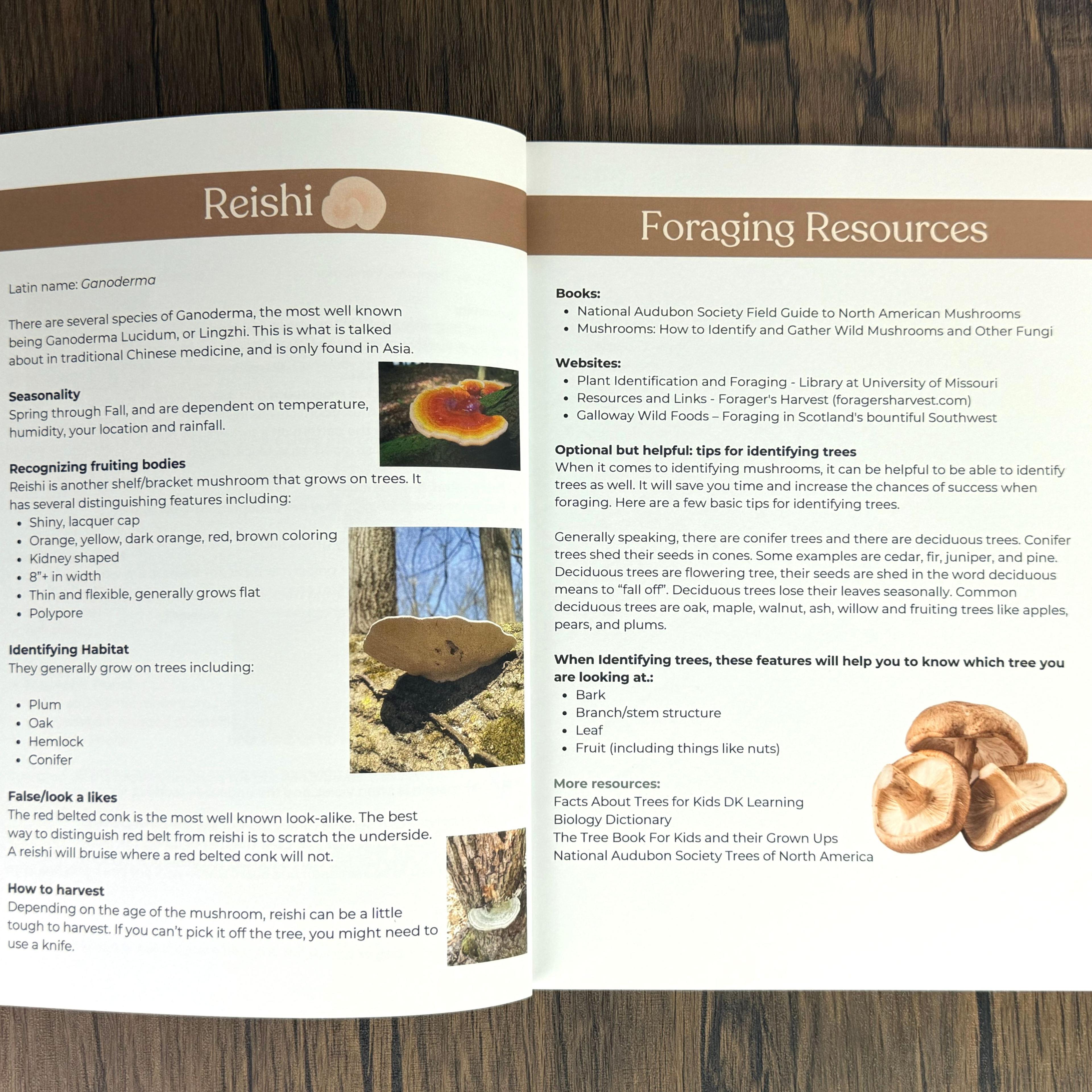 Open foraging guide booklet showing Reishi mushroom identification and foraging resources pages