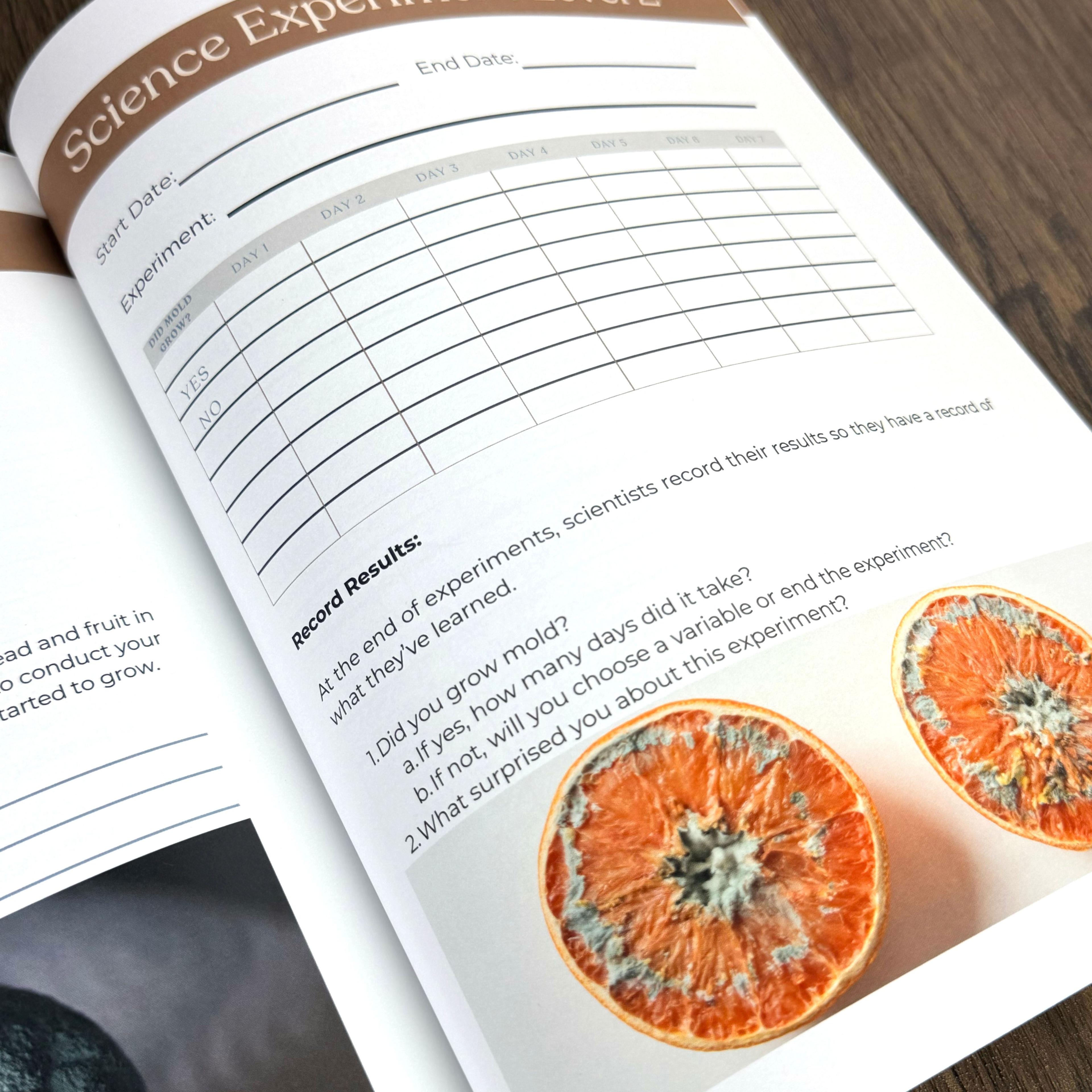 Science experiment tracker workbook open to mold-growth observation chart with moldy oranges