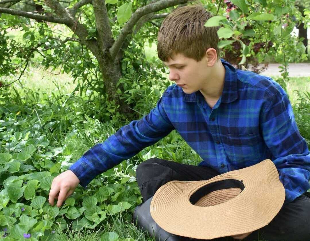 Young man in blue plaid shirt foraging fresh herbs under leafy tree branches with woven basket
