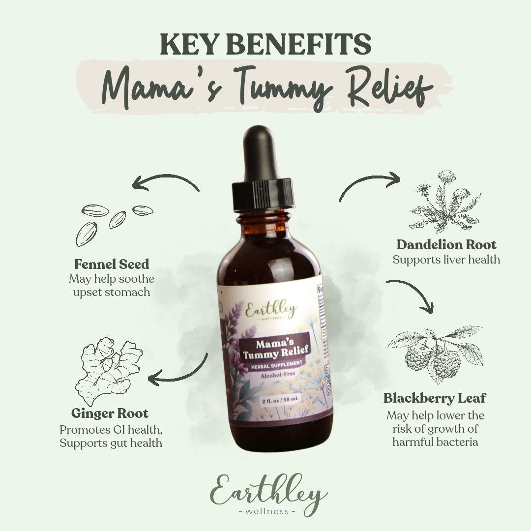 Mama's Tummy Relief tincture with key benefits: fennel seed, ginger root, dandelion root, blackberry leaf.