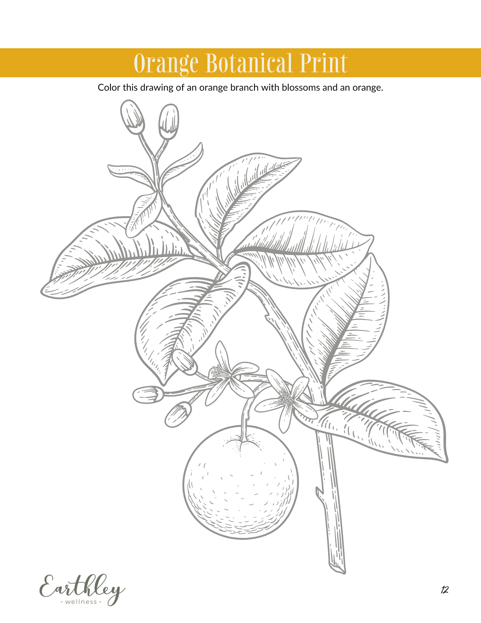 Orange Peel Mini Family Guide scrnsht 1 educational guide displayed for reference