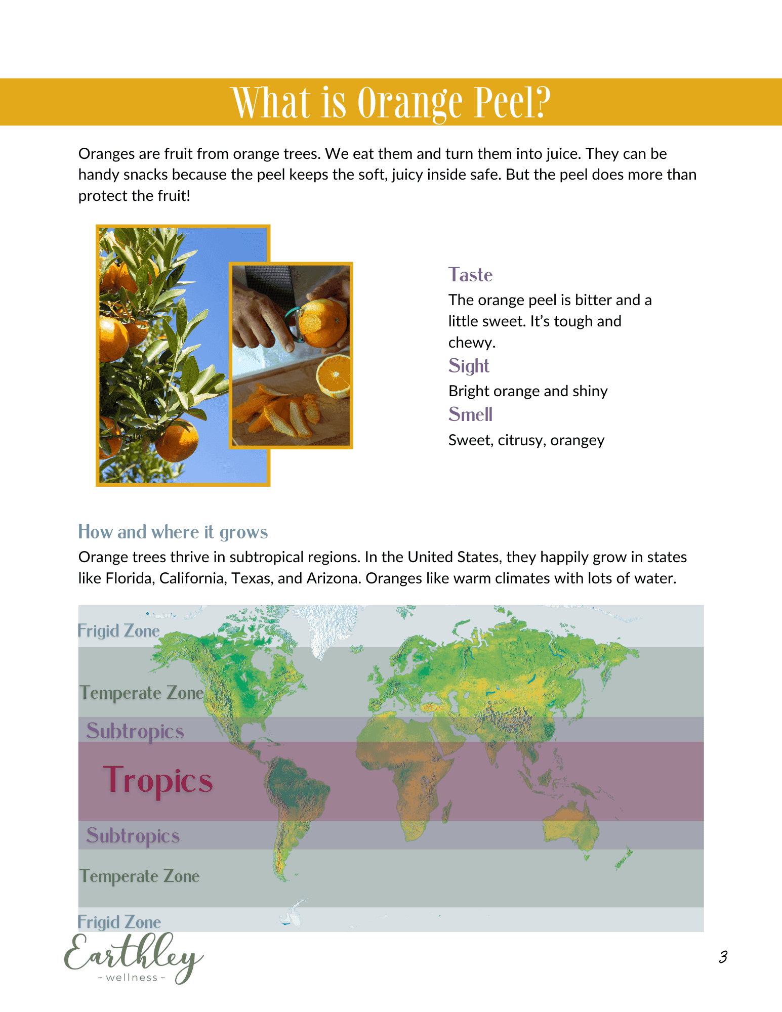 Orange Peel Mini Family Guide scrnsht 2 educational guide displayed for reference