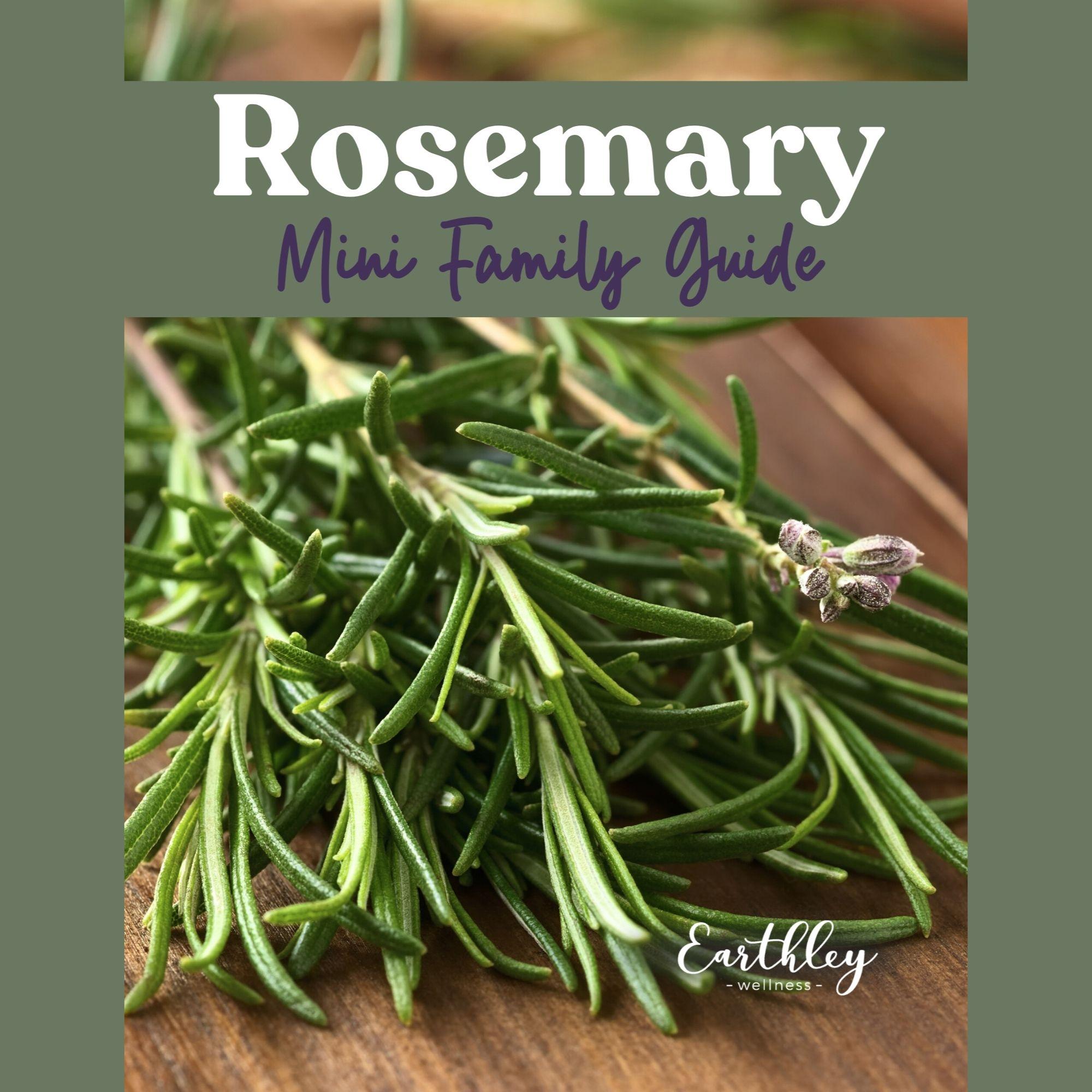 Earthley Rosemary Mini Family Guide cover with fresh green rosemary sprigs with purple flowers on rustic brown wooden table with sage green border