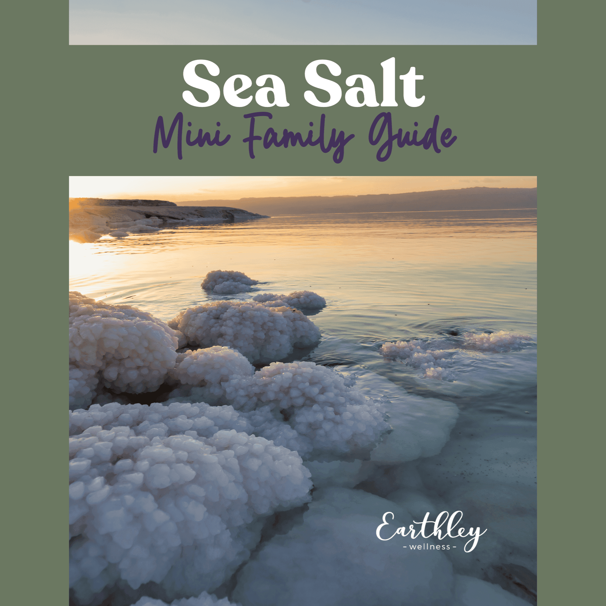 Sea Salt Mini Family Guide cover showing Dead Sea salt formations at sunset with purple title text and Earthley Wellness branding