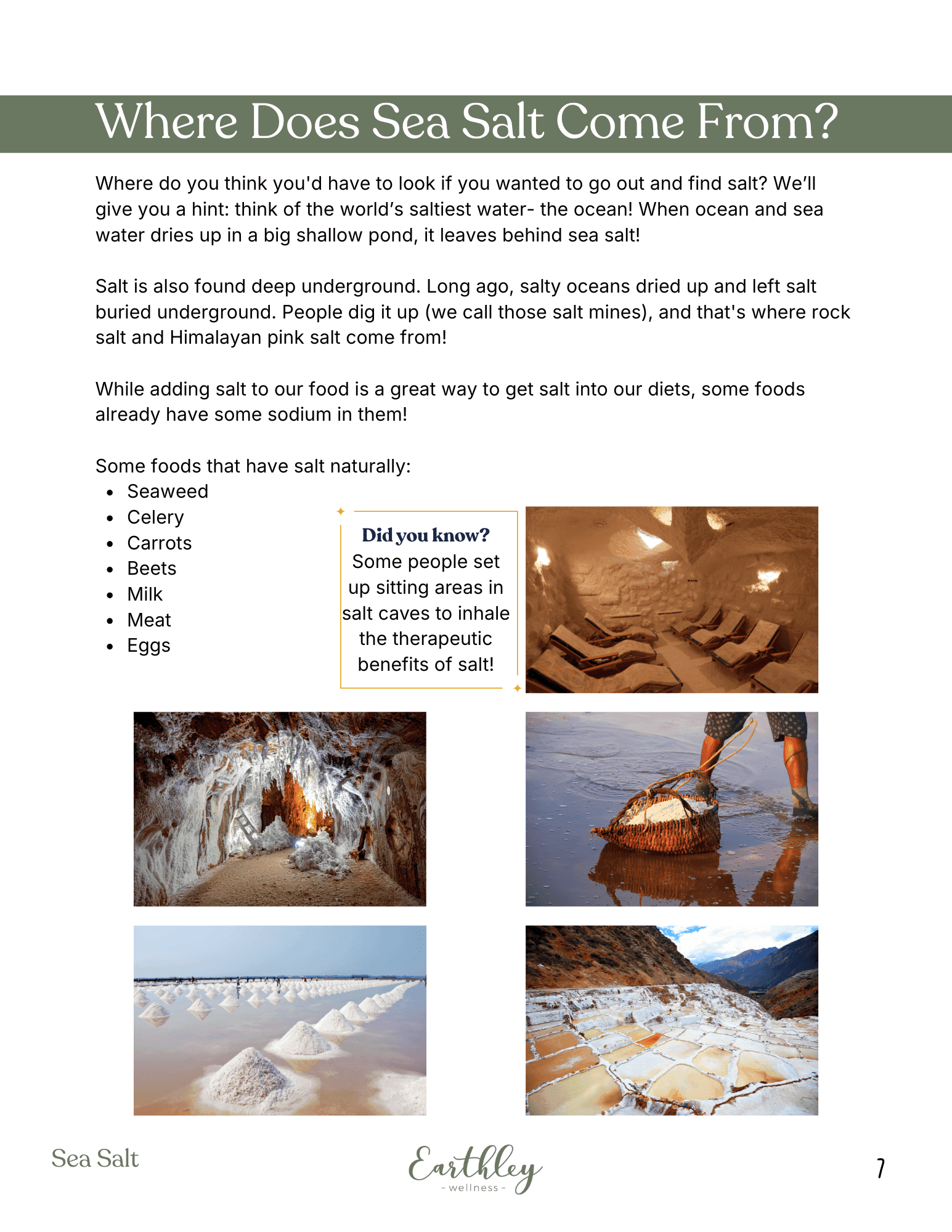 Earthley Sea Salt Mini Family Guide page 9 about where sea salt comes from with pink and tan salt photos on cream background