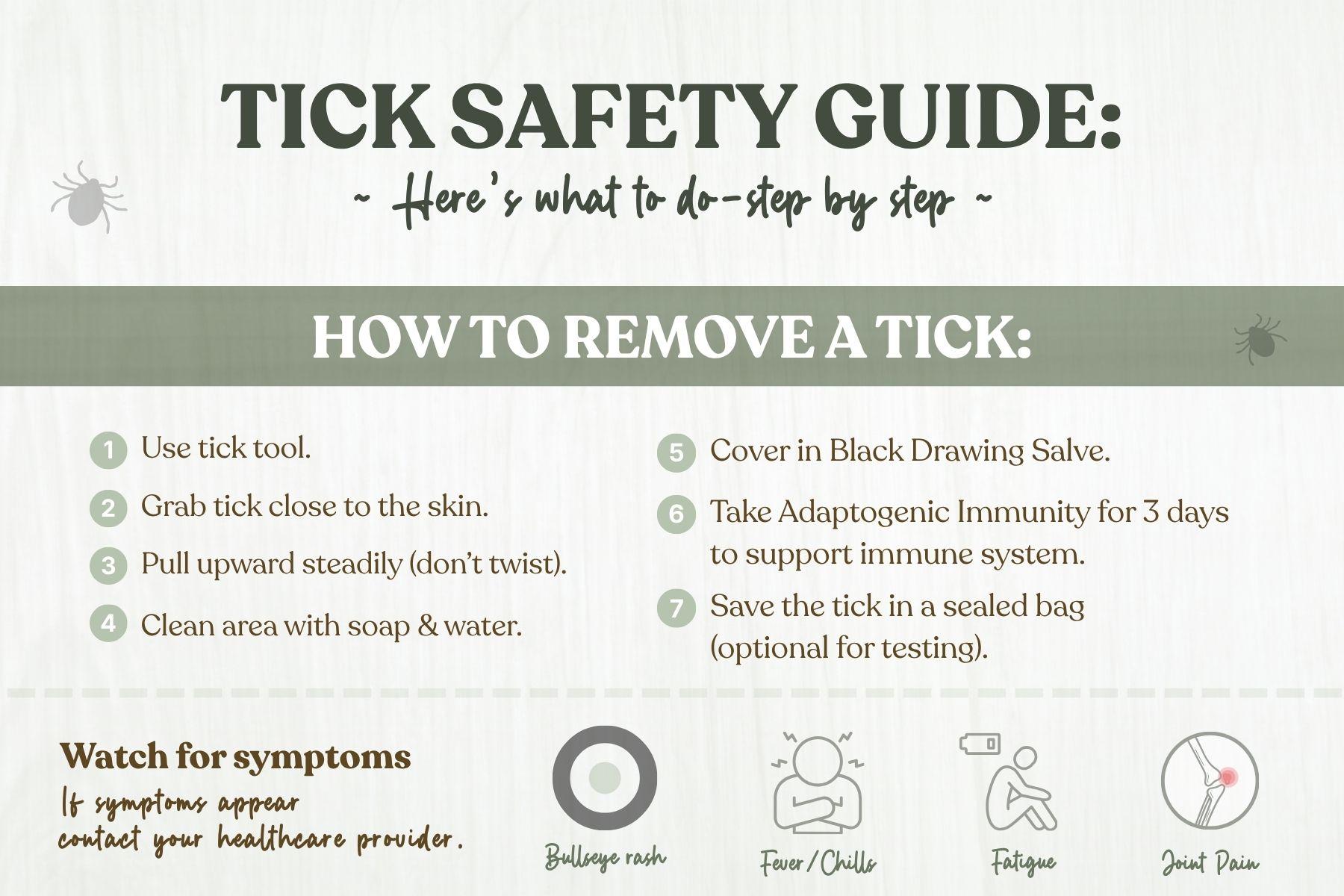 Tick safety guide infographic showing 7-step removal process and symptoms to watch for including bullseye rash, fever, fatigue, and joint pain