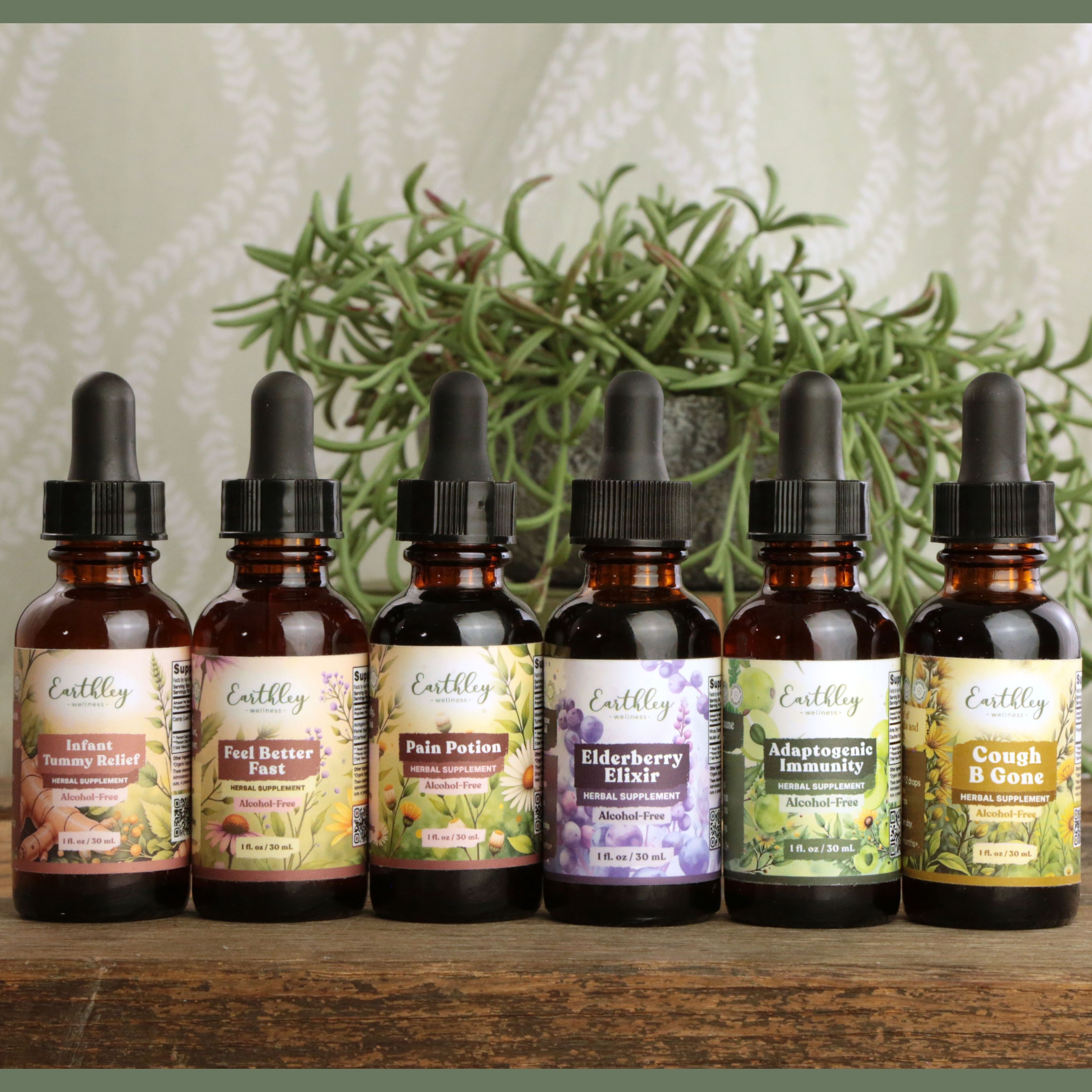 Six Earthley herbal tincture bottles with droppers arranged on wooden surface with rosemary plant backdrop