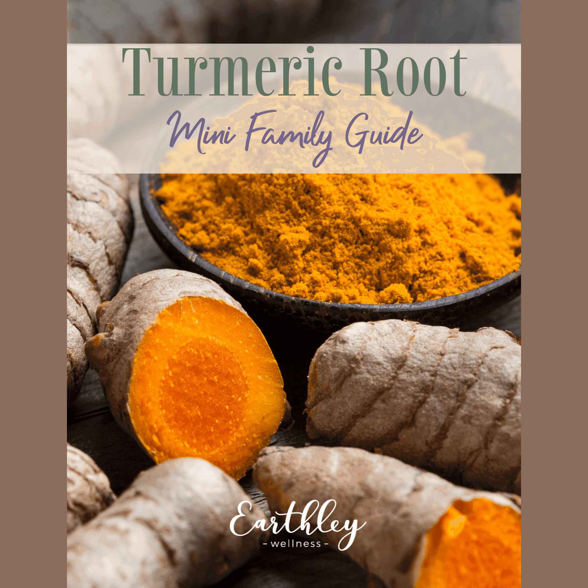 Turmeric Root Mini Family Guide cover showing bright orange turmeric roots whole and sliced with yellow orange powder in dark blue ceramic bowl on tan brown background