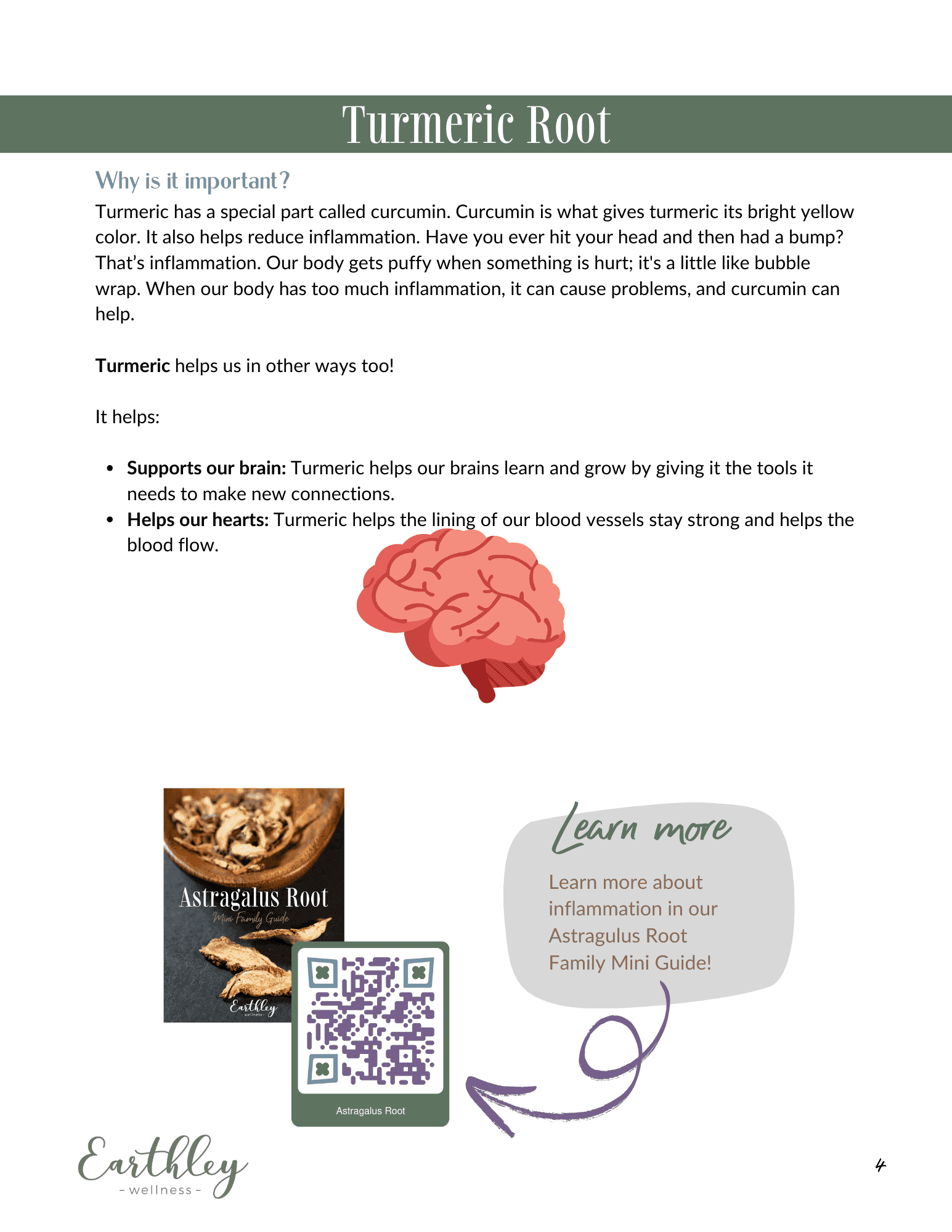 Turmeric Root Mini Family Guide sample page with green header showing pink brain illustration, text about curcumin benefits, and purple Learn More callout box with QR code