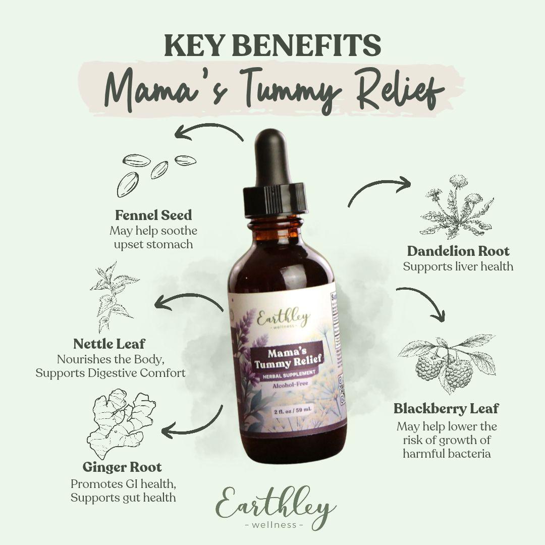 Mama's Tummy Relief tincture with key herbs: fennel, dandelion, nettle, blackberry, ginger