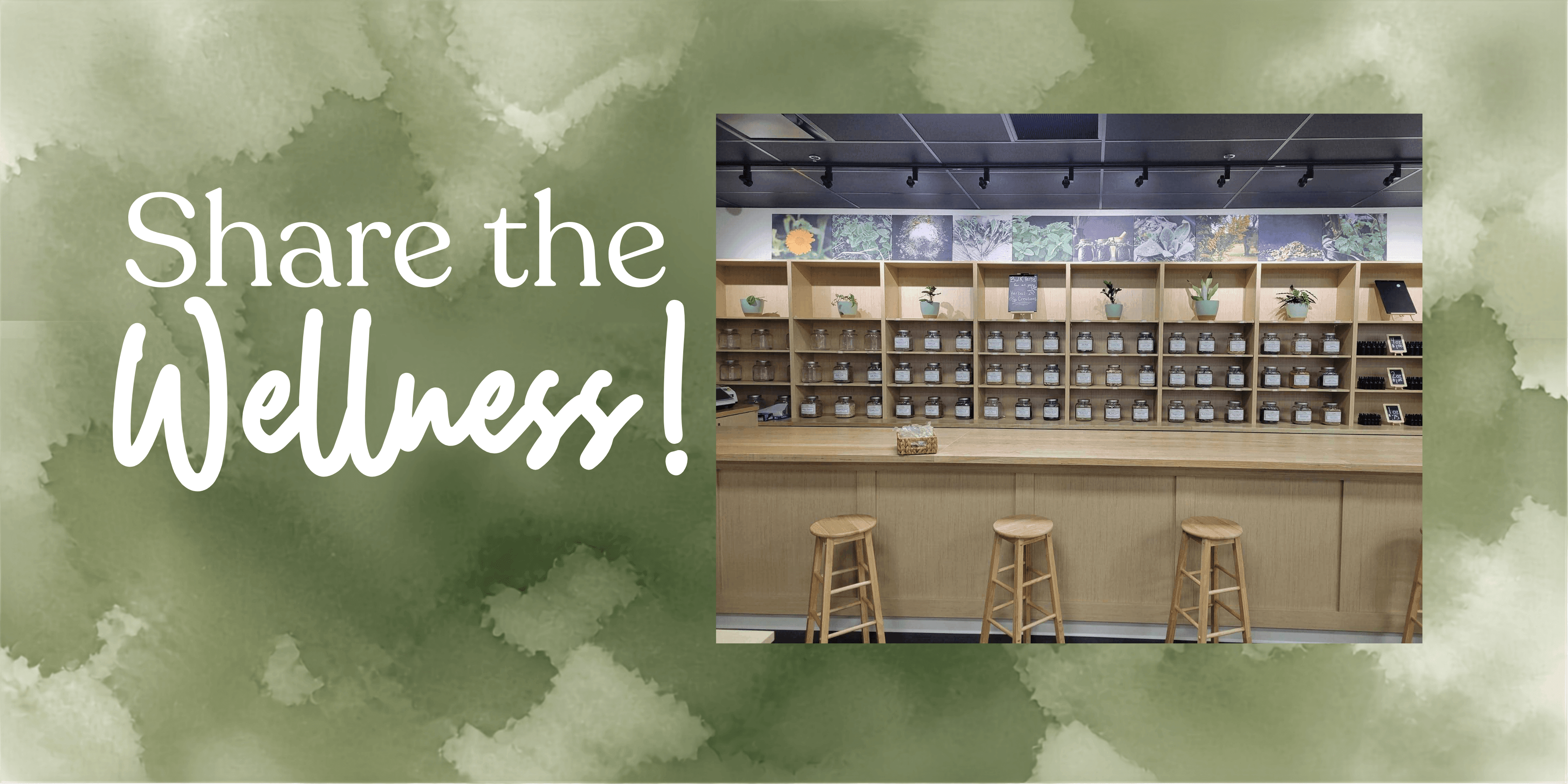 Earthley wellness store interior with herb-filled shelving, wooden counter, and bar stools