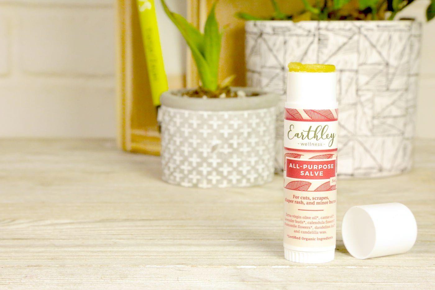 Earthley All Purpose Salve Stick 0.5oz white frosted twist-up tube with sage green stripe label on rustic wooden surface with green plants