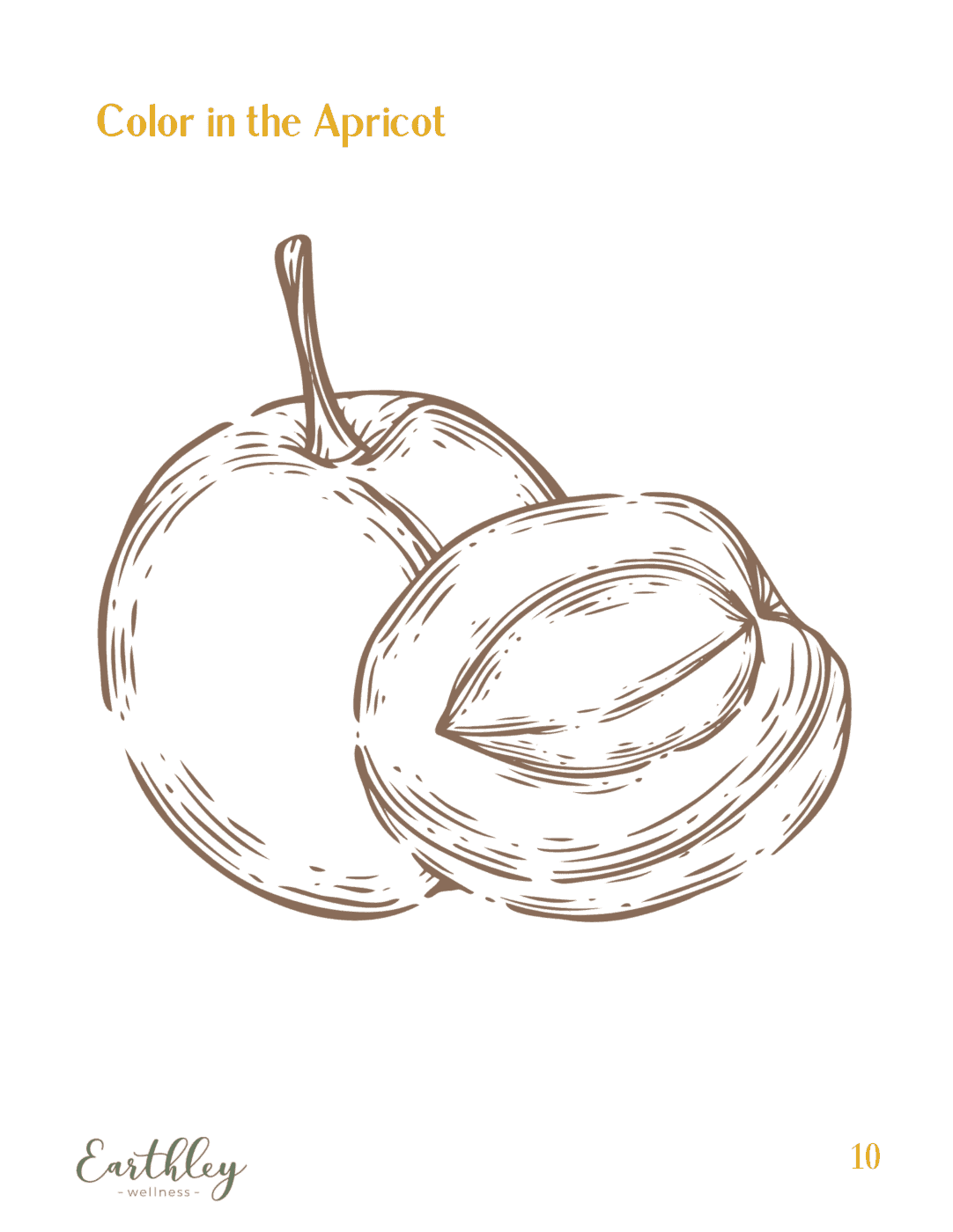 Color in the Apricot coloring page featuring brown line drawing of whole apricot and cut half showing pit on white background with golden yellow title text and Earthley logo page 10