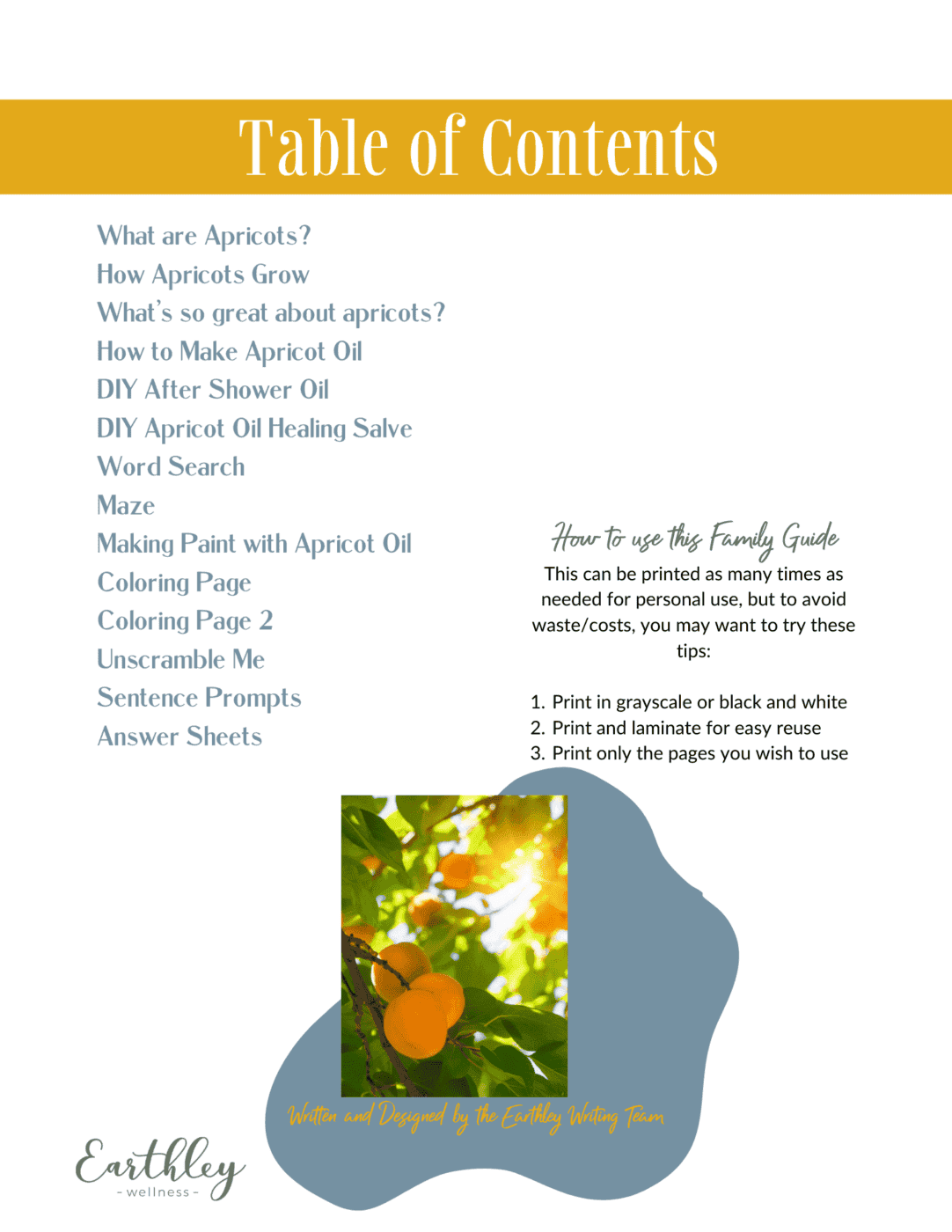 Apricot Oil Mini Family Guide Table of Contents page with golden mustard header bar listing activities including word search maze coloring pages and DIY recipes with orange ripe apricots photo on blue gray watercolor splash