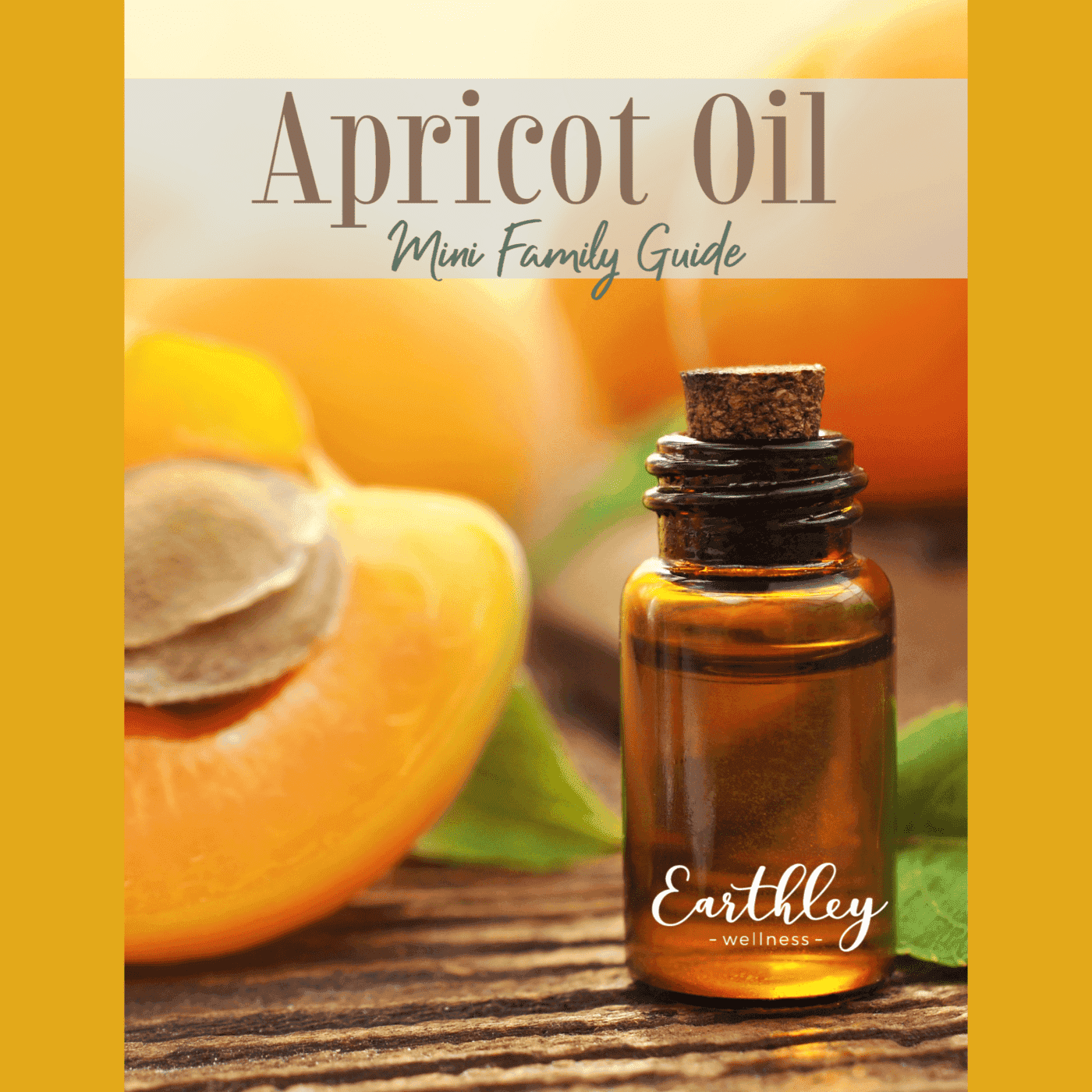 Apricot Oil Mini Family Guide cover featuring amber glass dropper bottle on wooden surface with fresh orange apricot halves and green leaves on warm golden orange gradient background with white title text and Earthley logo