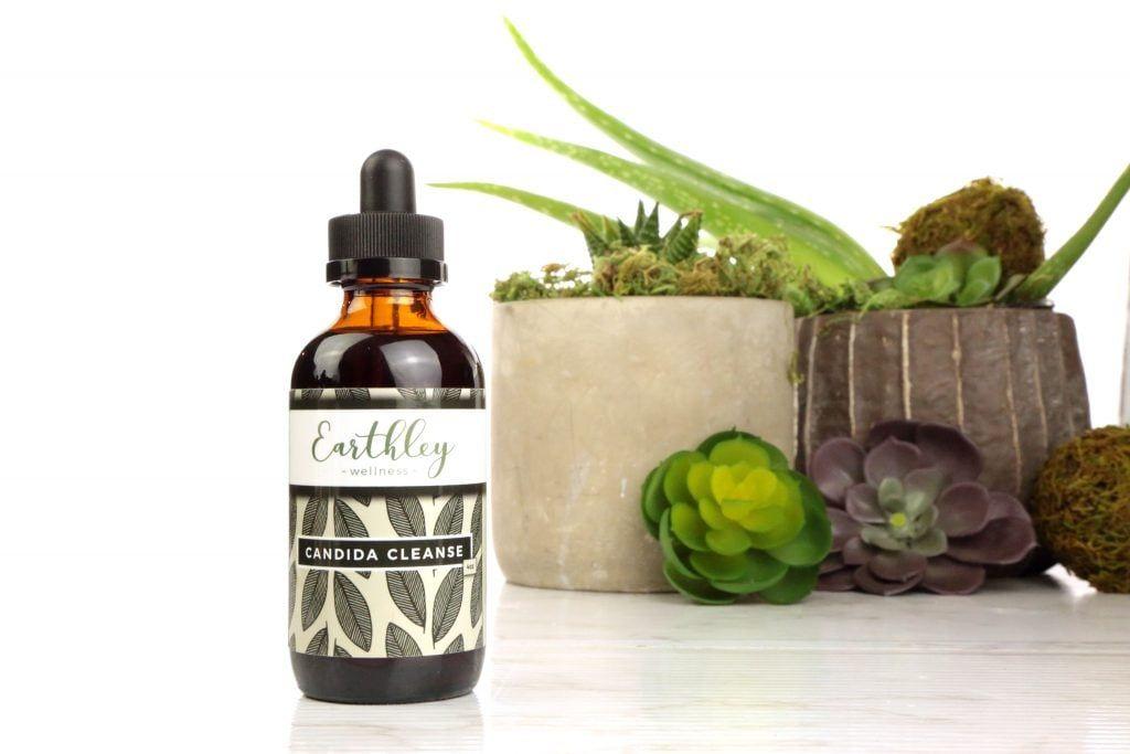 Candida Cleanse herbal extract in amber dropper bottle with succulent plants behind