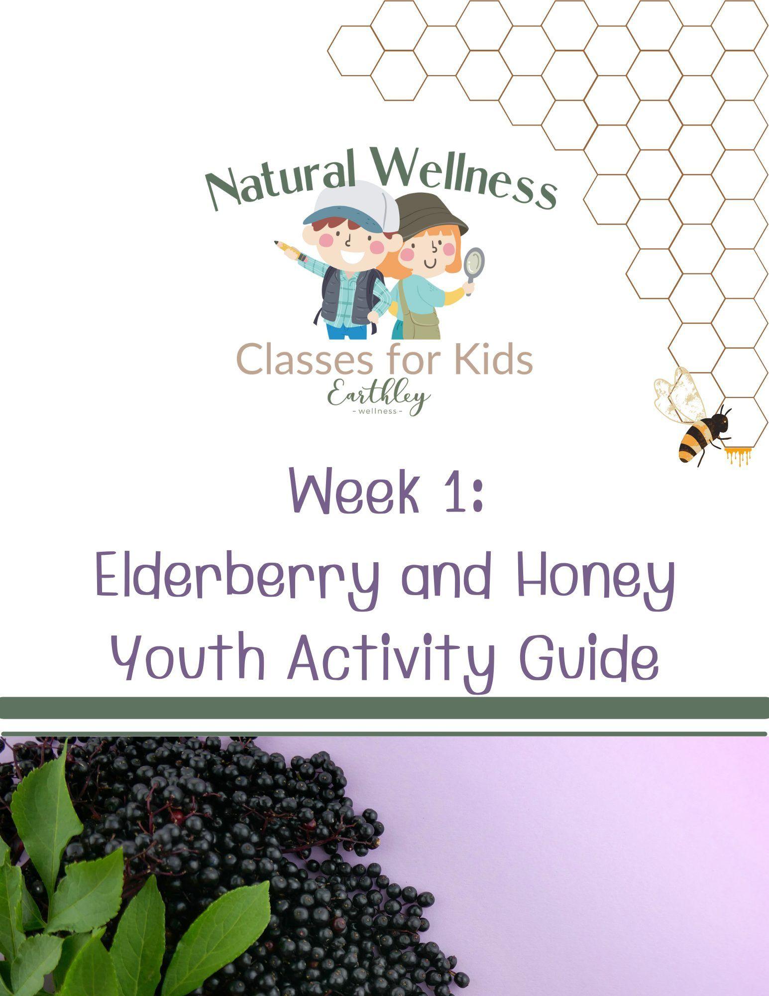 Earthley Elderberry and Honey Mini Activity Guide for Youth cover with dark purple elderberries and golden honey on cream background