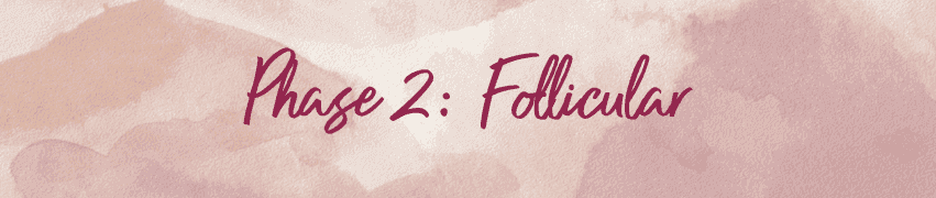 Phase 2 Follicular menstrual cycle header card with pink watercolor floral background