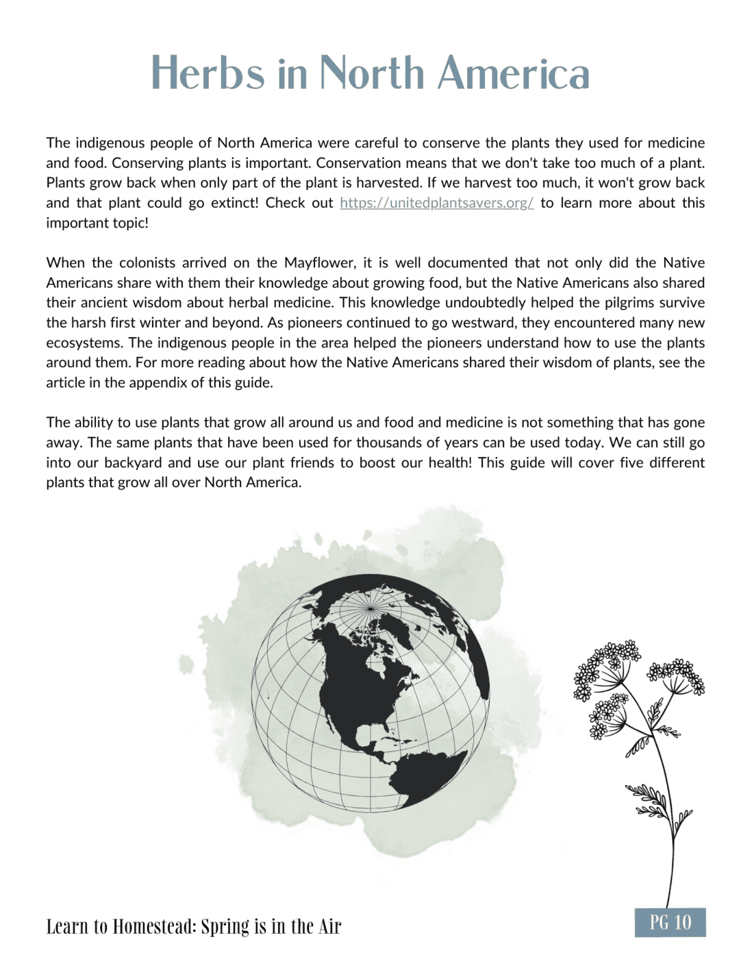 Earthley Learn to Homestead Spring is in the Air Herbs in North America guide page with sage blue header showing dark green illustrated globe of Earth with text about Native American herbal traditions on cream background