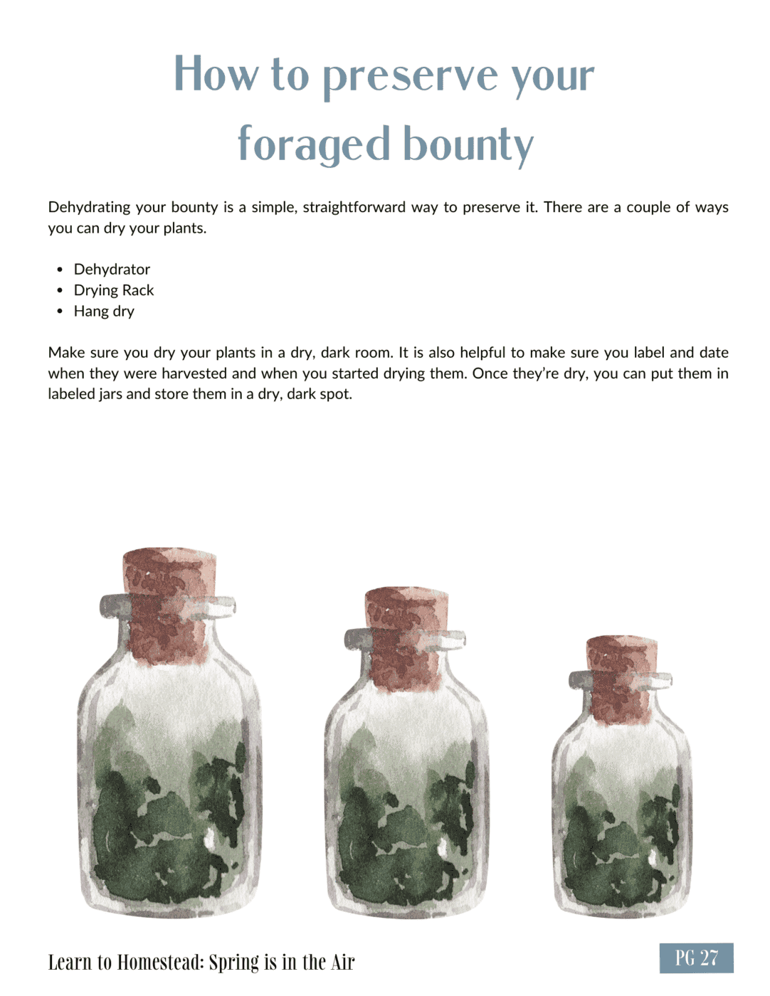 Earthley Learn to Homestead Spring is in the Air How to Preserve Your Foraged Bounty guide page with sage blue header showing watercolor illustration of three clear glass jars with brown cork tops filled with green dried herbs on cream background