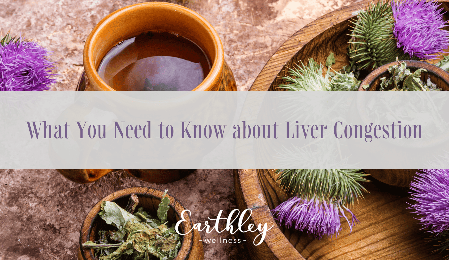 Liver Congestion blog header showing illustrated human torso silhouette with liver organ highlighted in red orange indicating inflammation or congestion