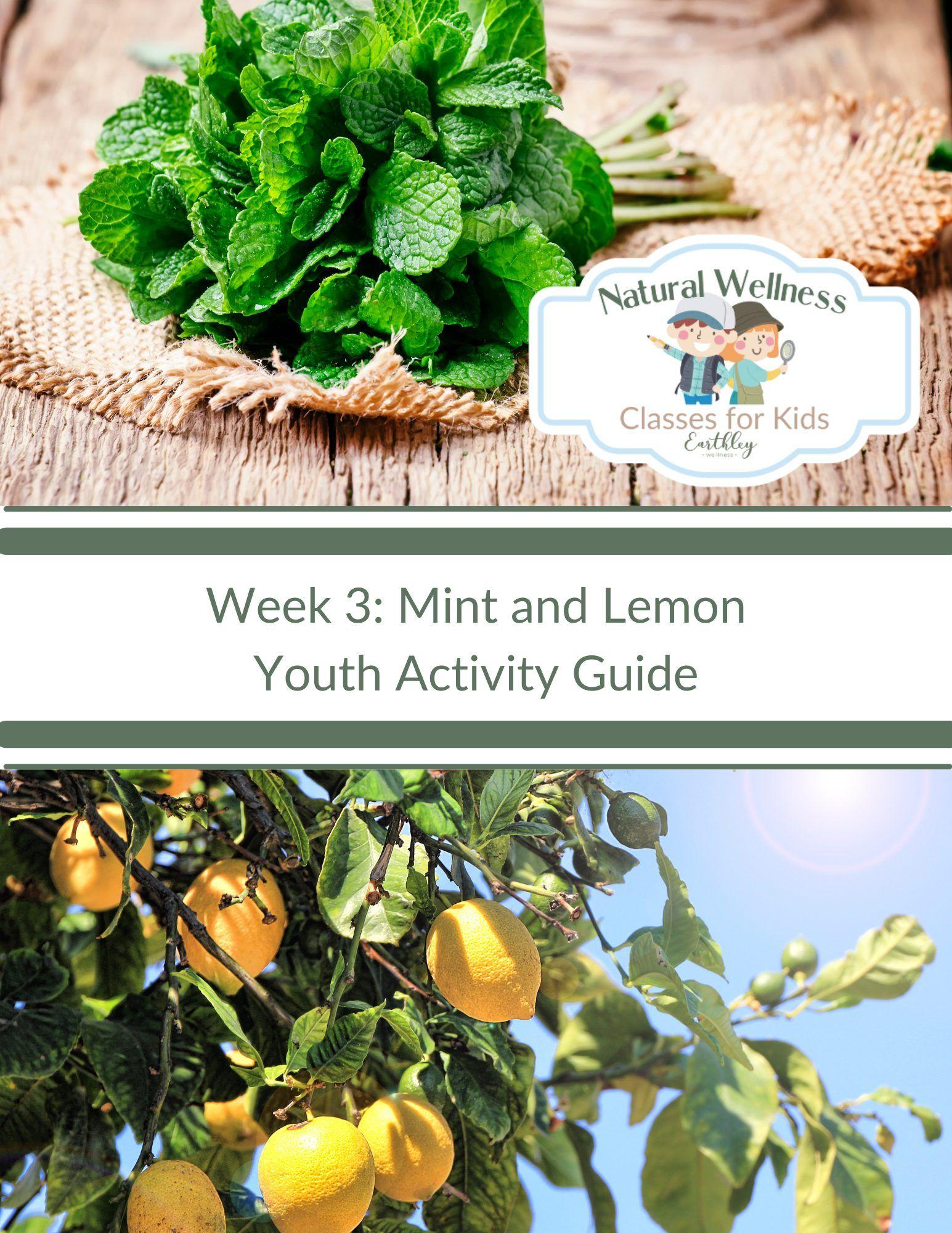 Earthley Mint Lemon Activity Guide for Youth cover with green mint leaves and yellow lemon slices on cream background