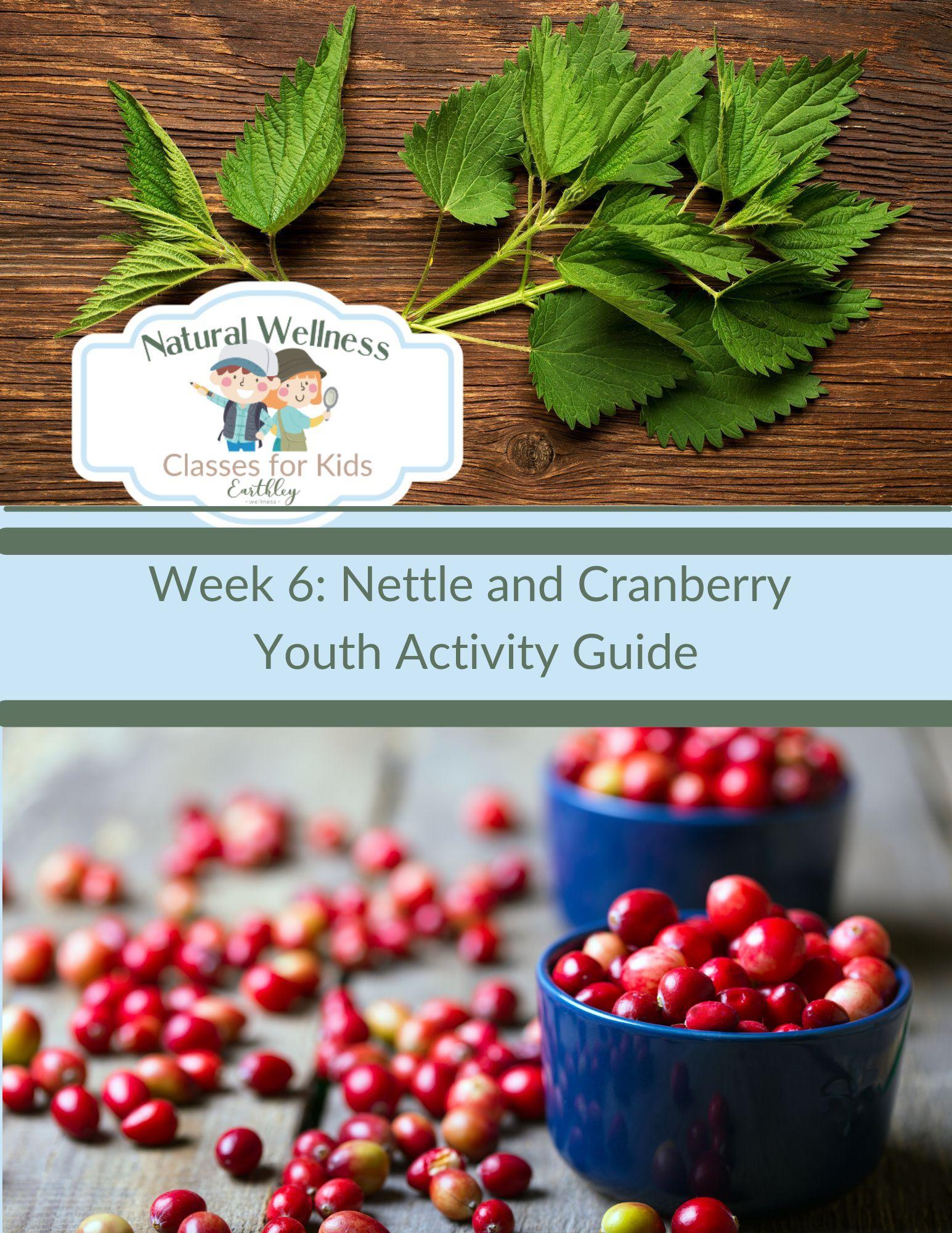 Natural Wellness Classes for Kids Week 6 Nettle and Cranberry Youth Activity Guide cover featuring fresh bright green nettle leaves on dark brown wooden surface and bright red cranberries in dark blue ceramic bowl with scattered red and green unripe cranberries on wooden surface